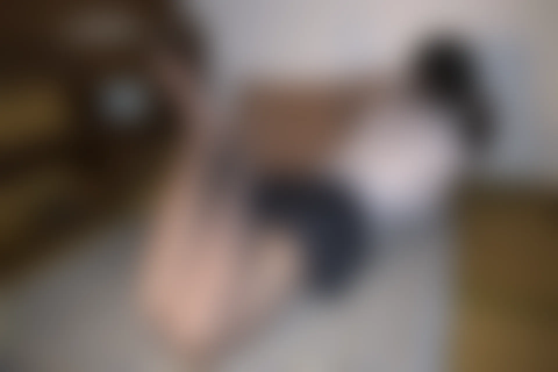 森萝财团 有料-37 小夜 室内黑丝JK [112P-1.29GB]JK, JK制服, 制服, 小夜, 有料, 森萝财团, 灰丝, 美腿, 美足, 蕾丝, 黑丝