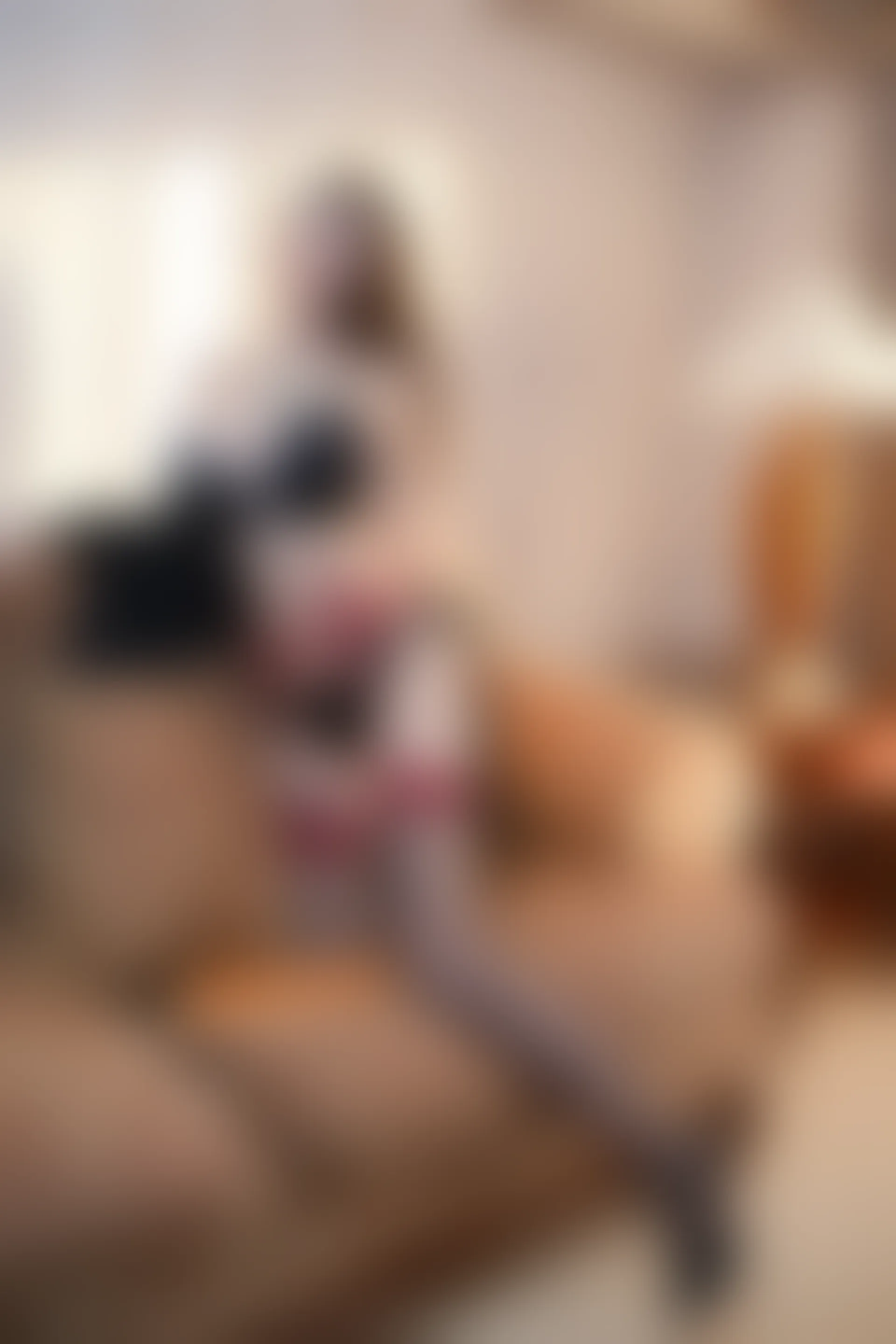 XIUREN秀人网 2024.02.28 NO.8148 Yuki鱼儿[73+1P／828MB]