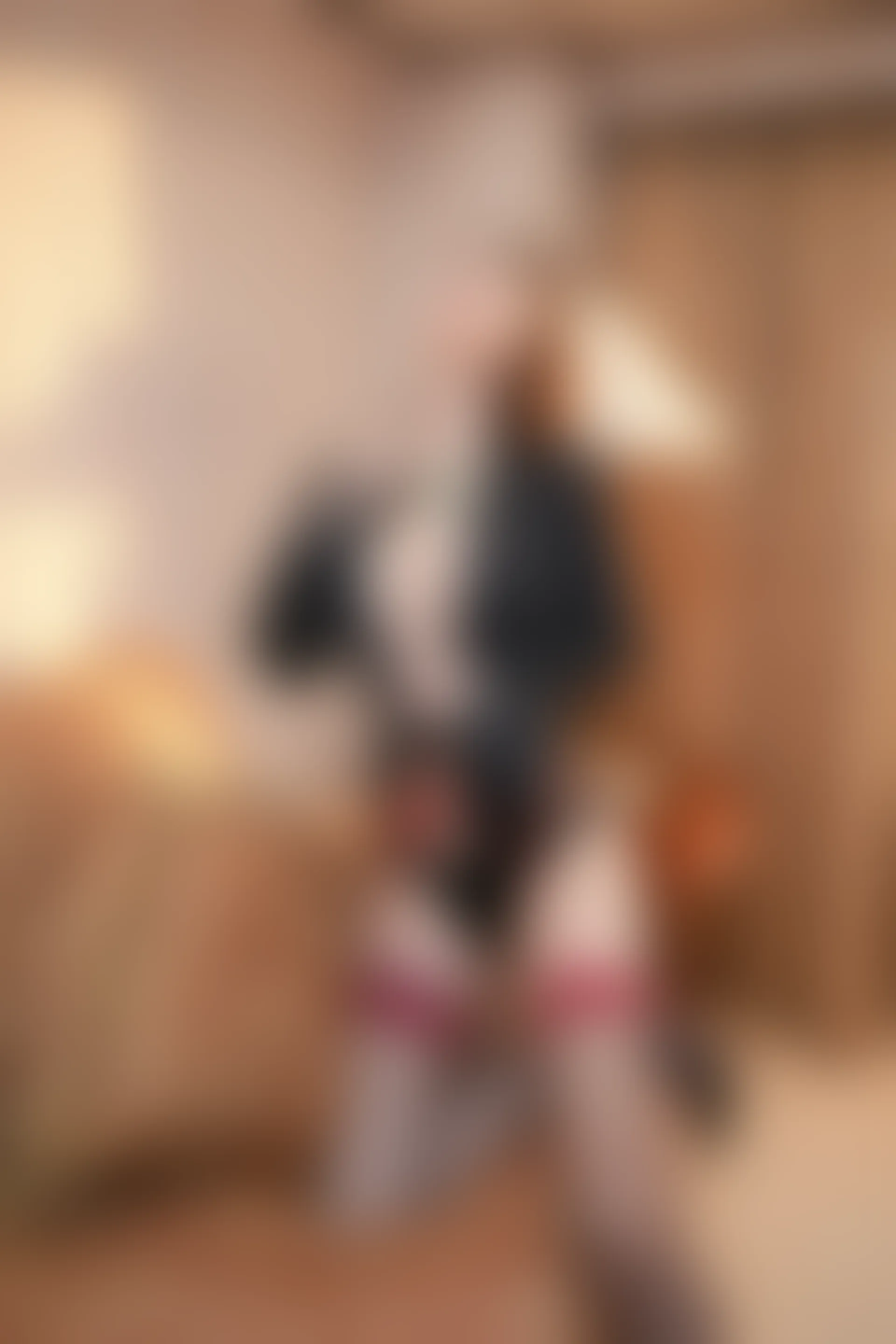 XIUREN秀人网 2024.02.28 NO.8148 Yuki鱼儿[73+1P／828MB]