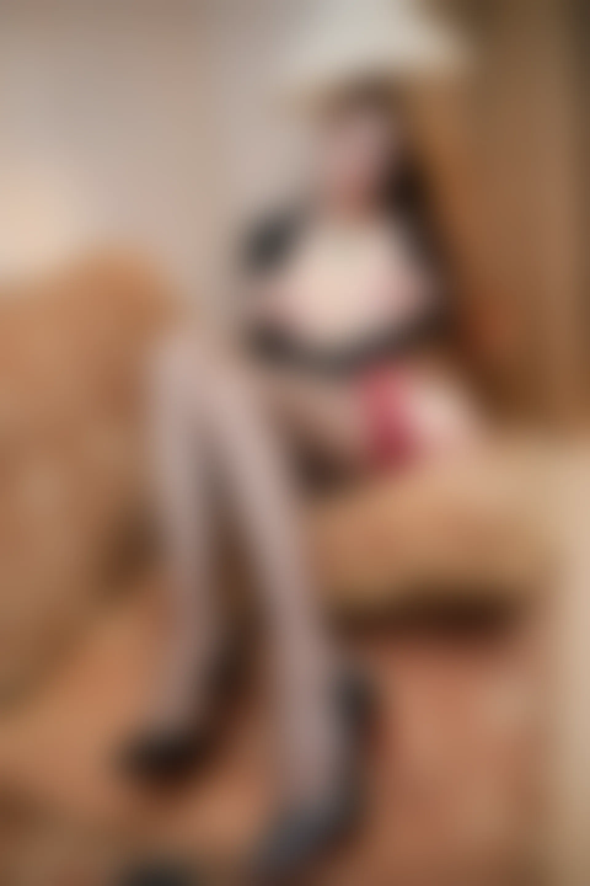 XIUREN秀人网 2024.02.28 NO.8148 Yuki鱼儿[73+1P／828MB]