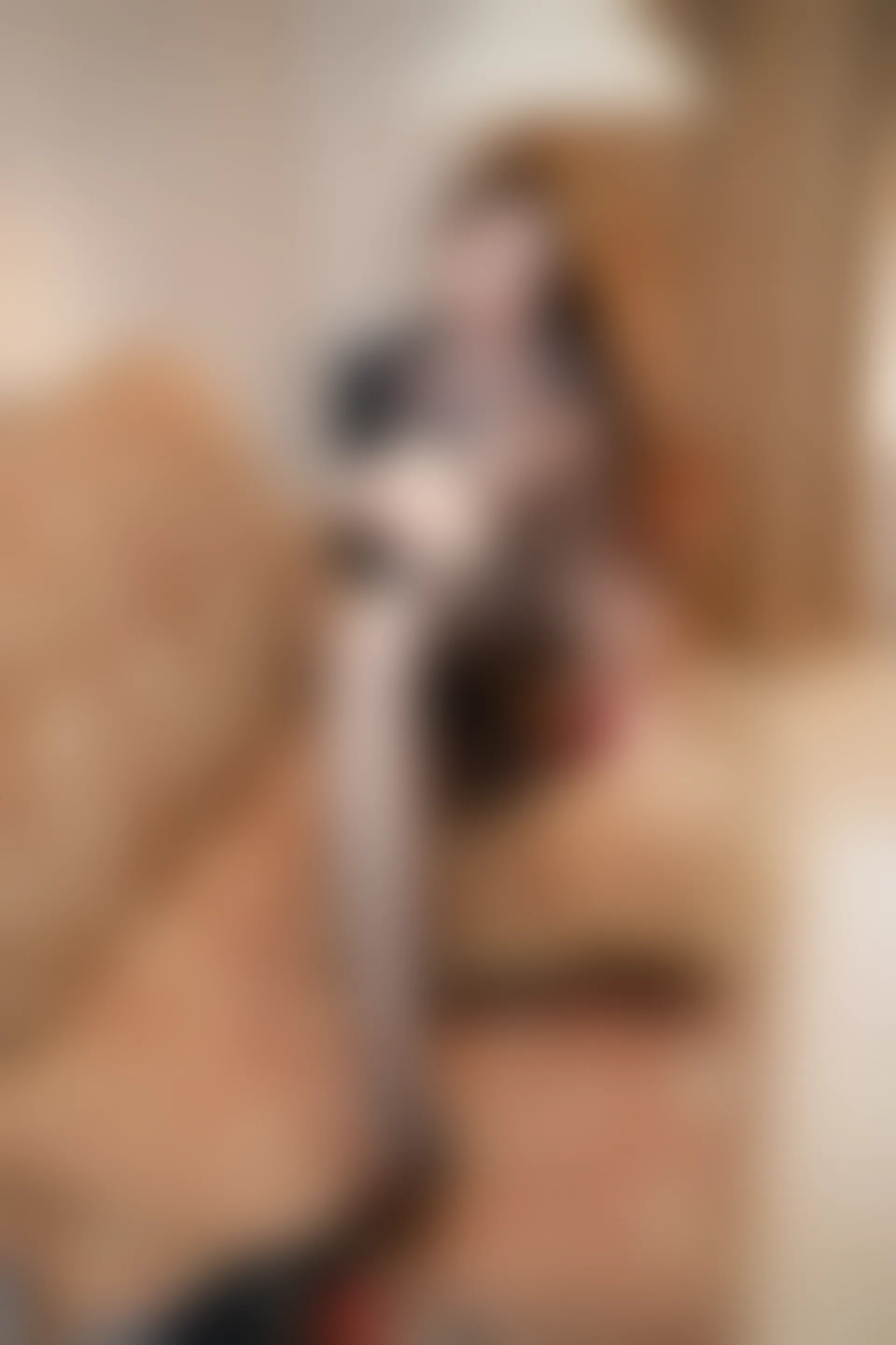 XIUREN秀人网 2024.02.28 NO.8148 Yuki鱼儿[73+1P／828MB]