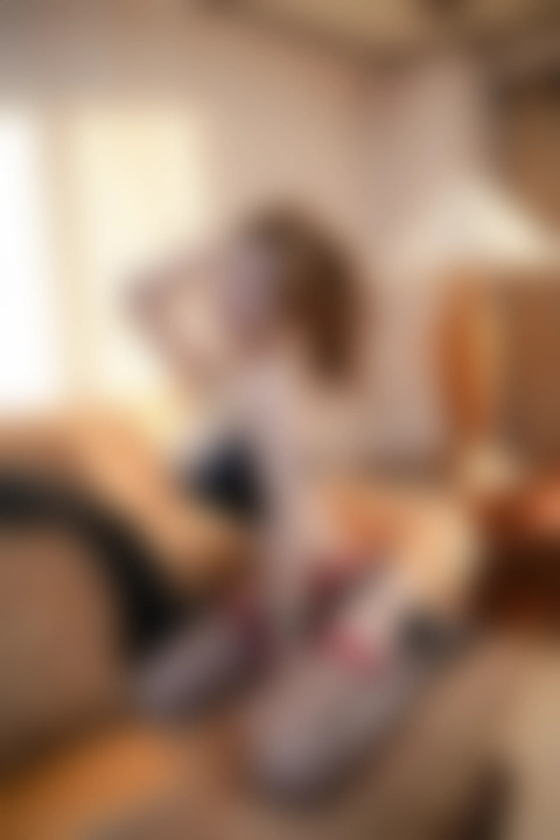 XIUREN秀人网 2024.02.28 NO.8148 Yuki鱼儿[73+1P／828MB]