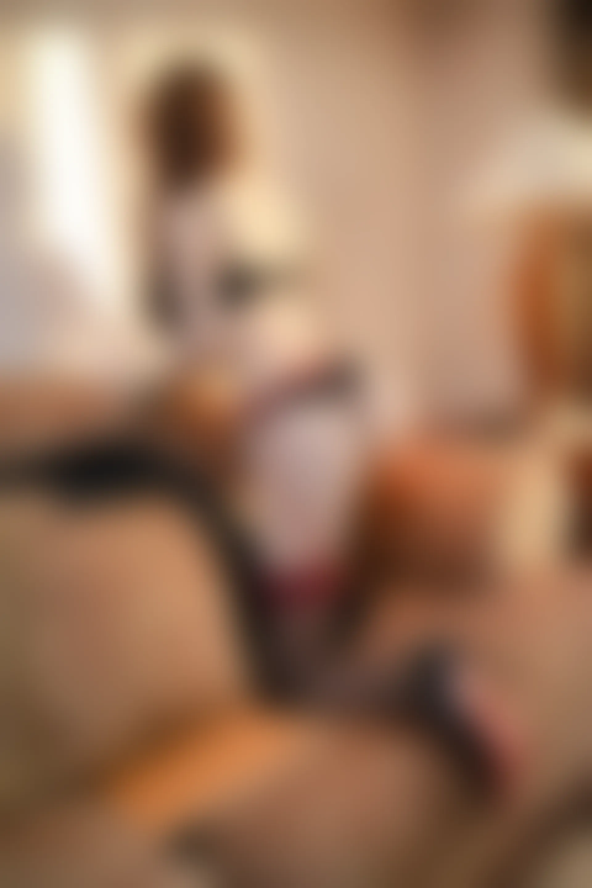 XIUREN秀人网 2024.02.28 NO.8148 Yuki鱼儿[73+1P／828MB]