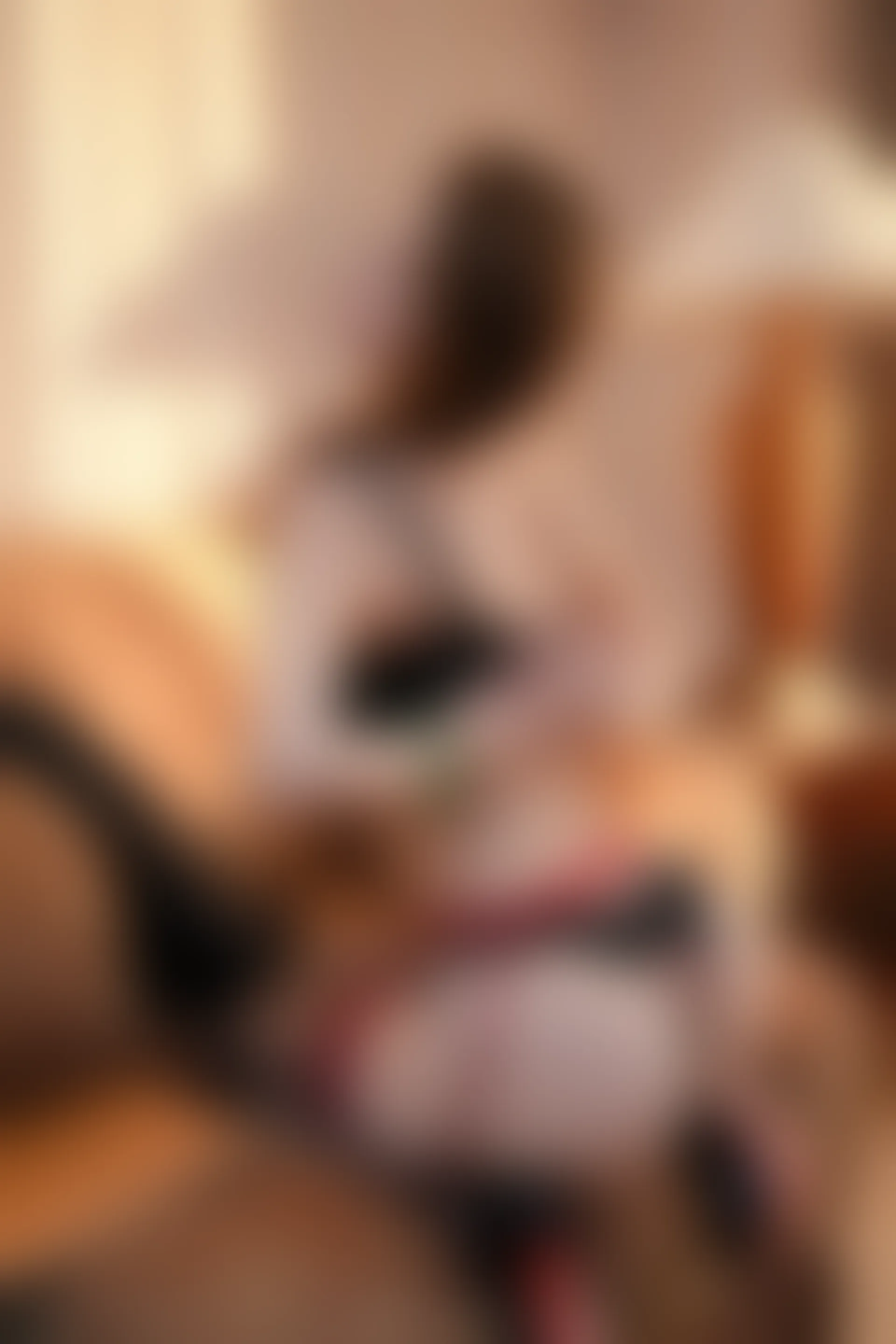 XIUREN秀人网 2024.02.28 NO.8148 Yuki鱼儿[73+1P／828MB]
