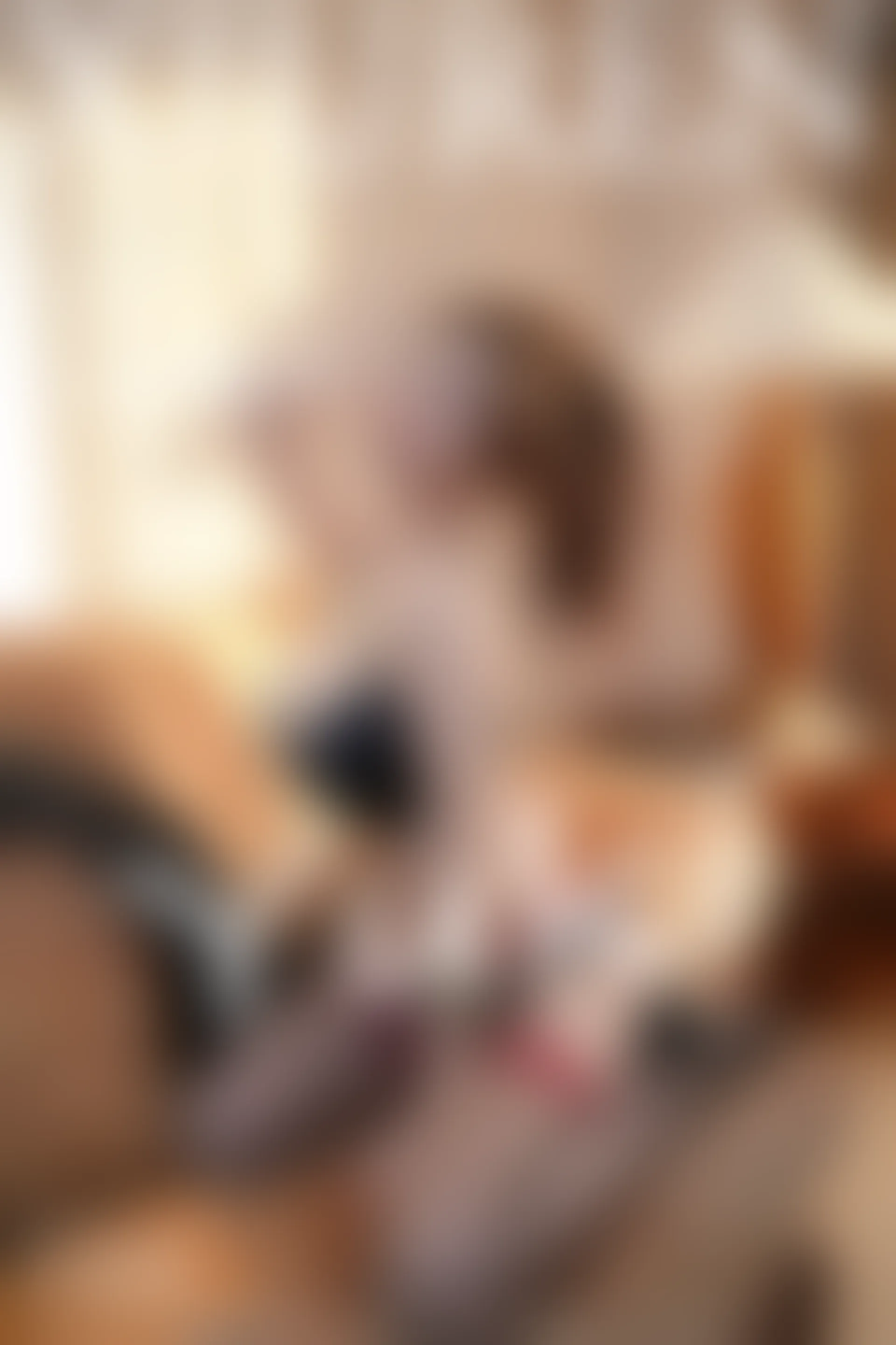 XIUREN秀人网 2024.02.28 NO.8148 Yuki鱼儿[73+1P／828MB]