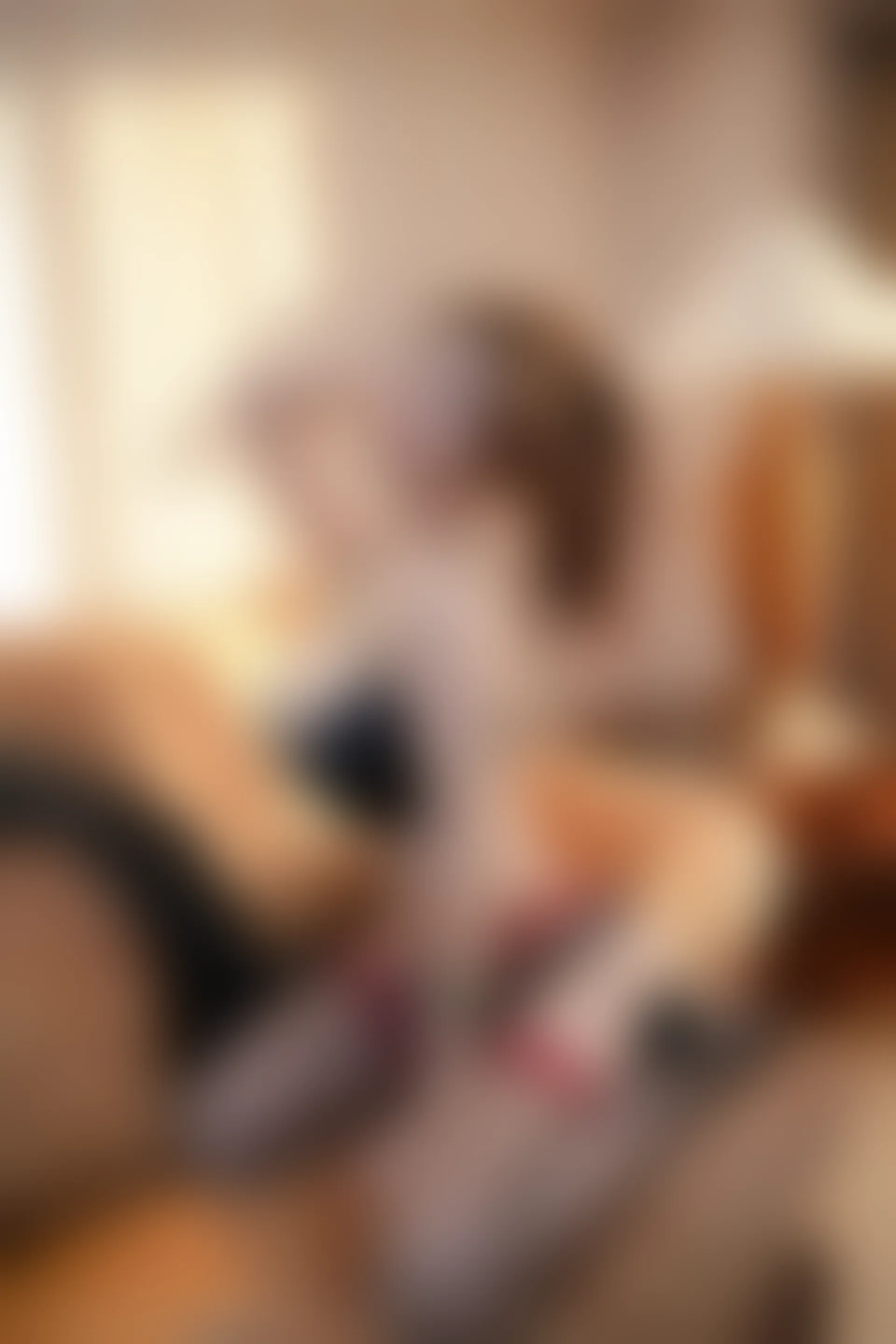 XIUREN秀人网 2024.02.28 NO.8148 Yuki鱼儿[73+1P／828MB]