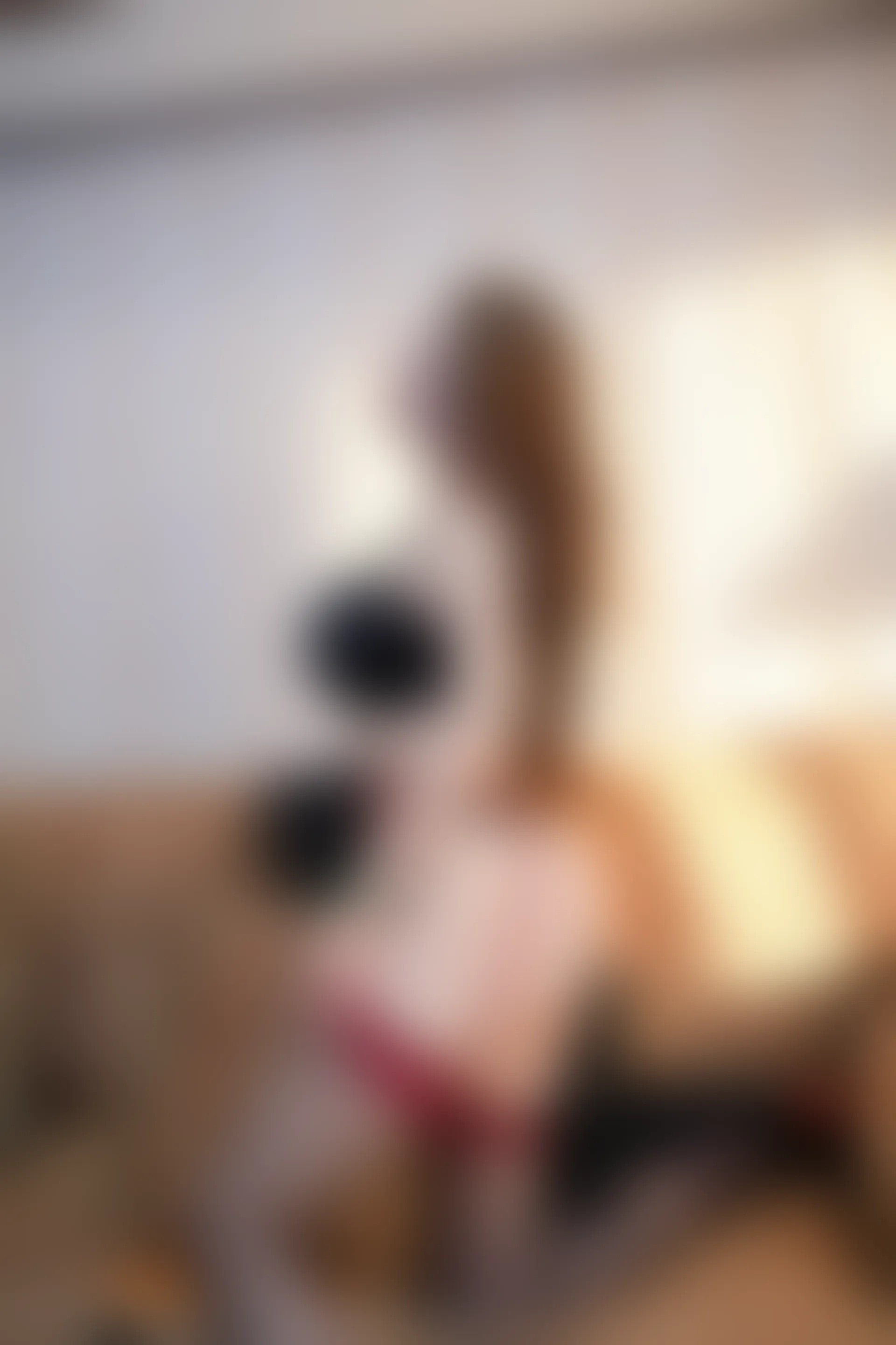 XIUREN秀人网 2024.02.28 NO.8148 Yuki鱼儿[73+1P／828MB]