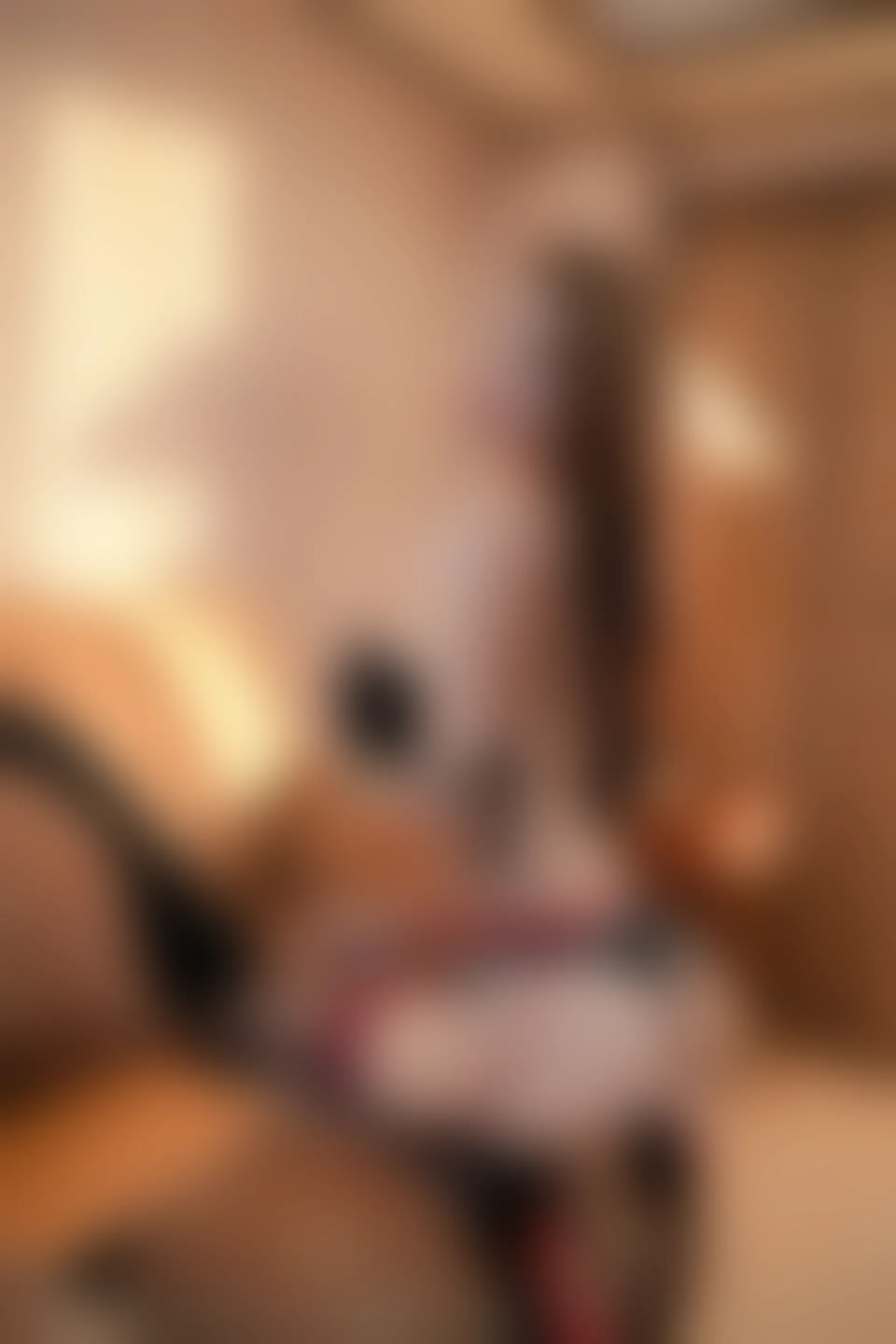 XIUREN秀人网 2024.02.28 NO.8148 Yuki鱼儿[73+1P／828MB]