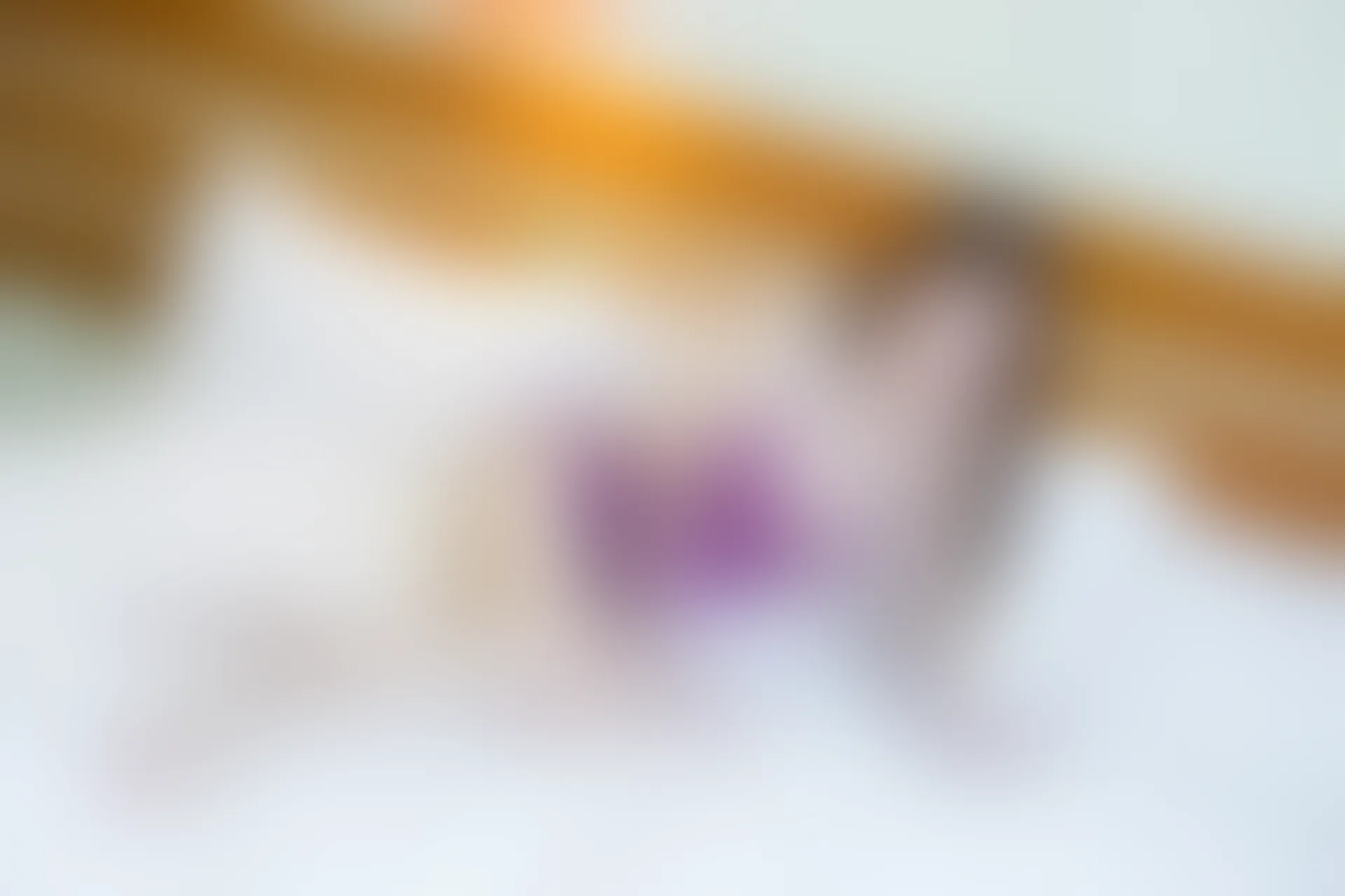 XiuRen秀人网 2015.11.24 No.423 妮婉Belinda