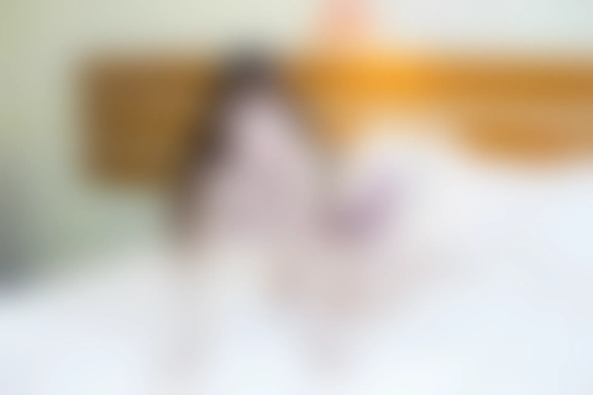 XiuRen秀人网 2015.11.24 No.423 妮婉Belinda