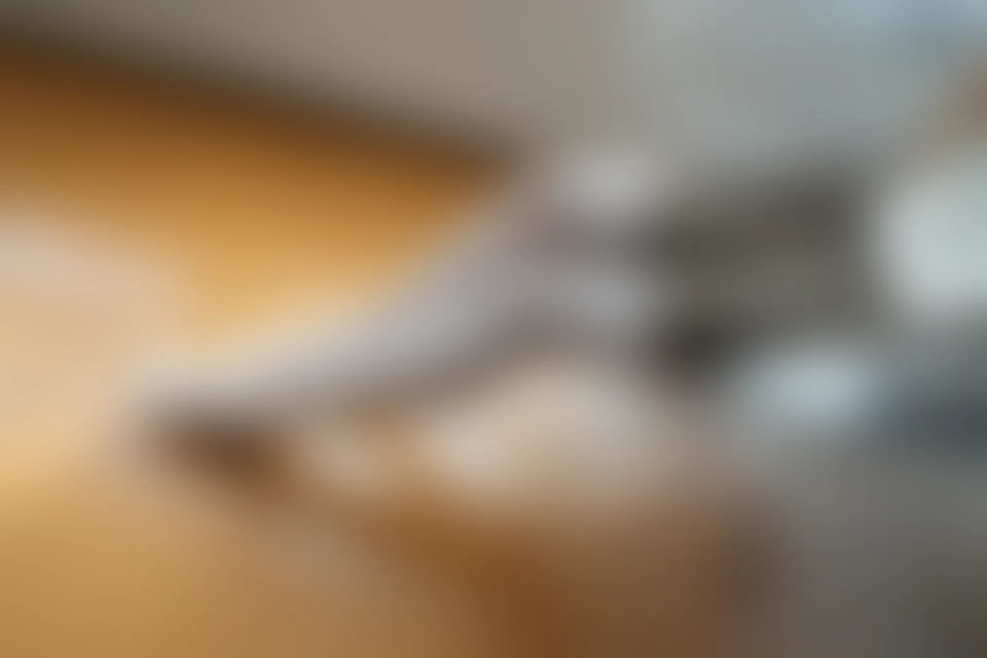 森萝财团 BETA-021 [212P-995M]白丝, 美腿