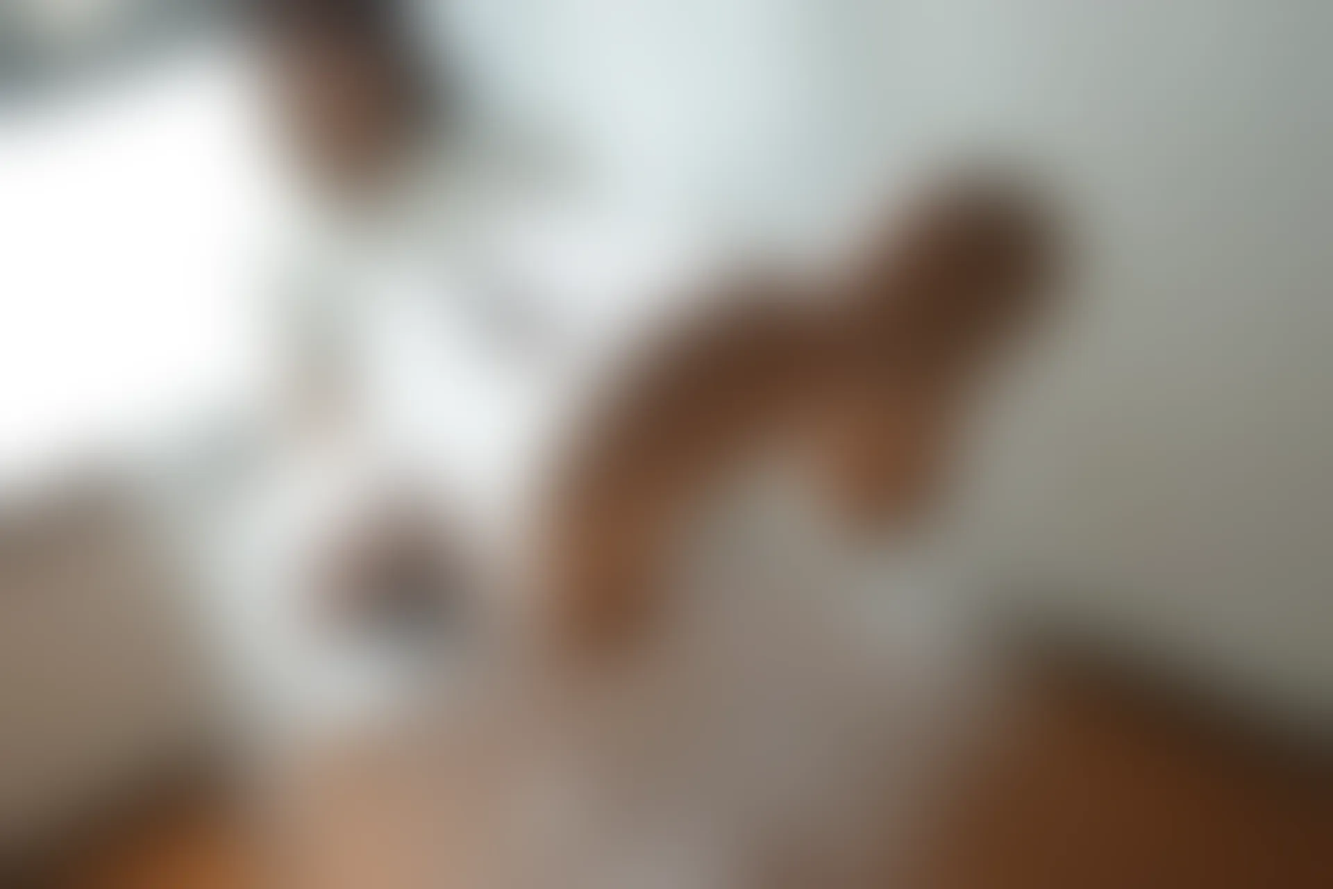 森萝财团 BETA-021 [212P-995M]白丝, 美腿