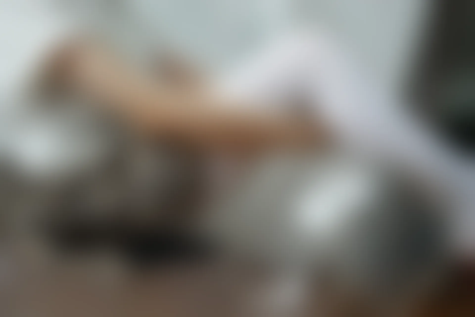 森萝财团 BETA-021 [212P-995M]白丝, 美腿