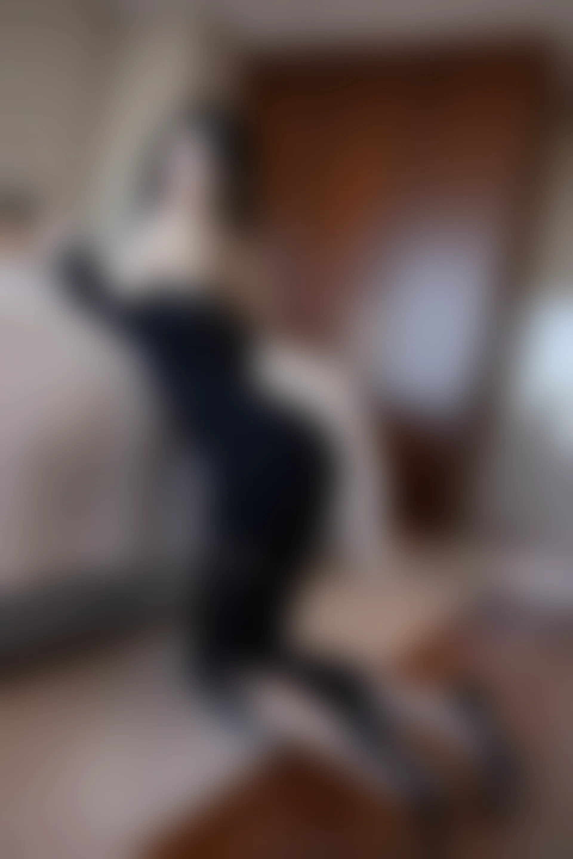 XiuRen秀人网 2022.01.18 No.4480 杨晨晨Yome 性感美腿[76+1P 673MB]