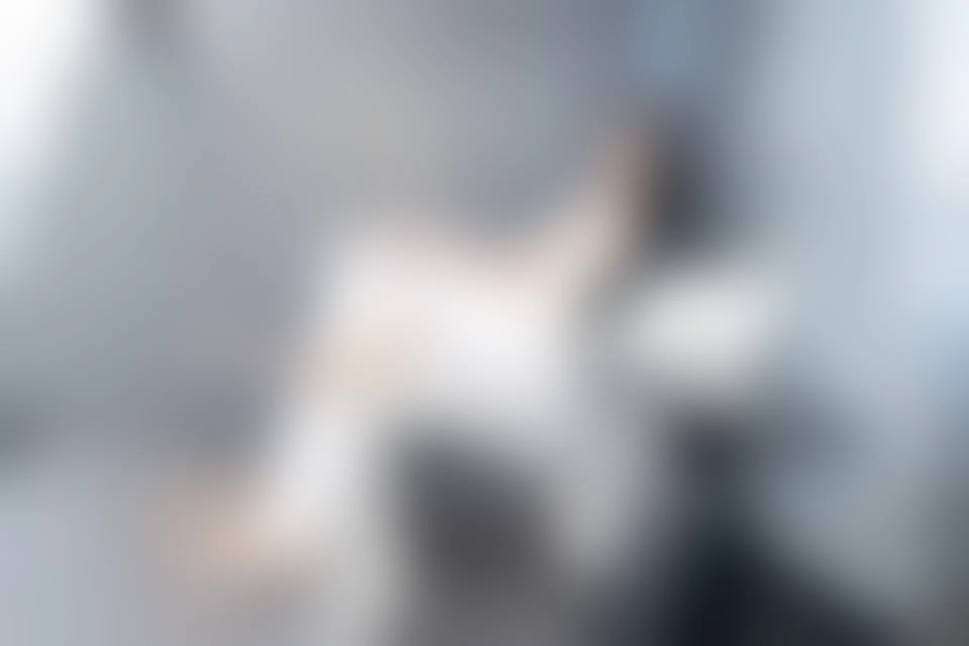 XIUREN秀人网 2024.01.10 NO.7937 浅浅Danny[82+1P／657MB]
