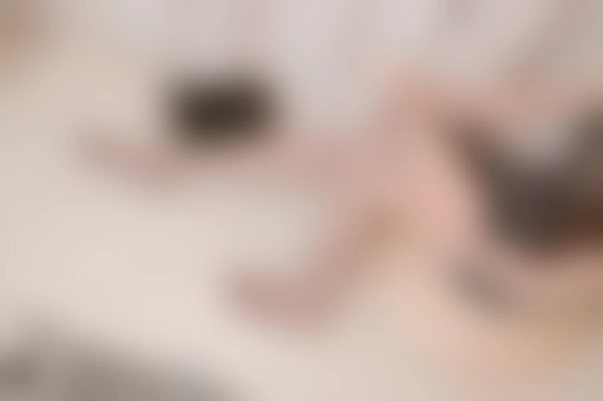 SSA丝社 超清写真 NO.105 西西 腿模西西超短旗袍灰丝脱丝特写[153P-1.04GB]