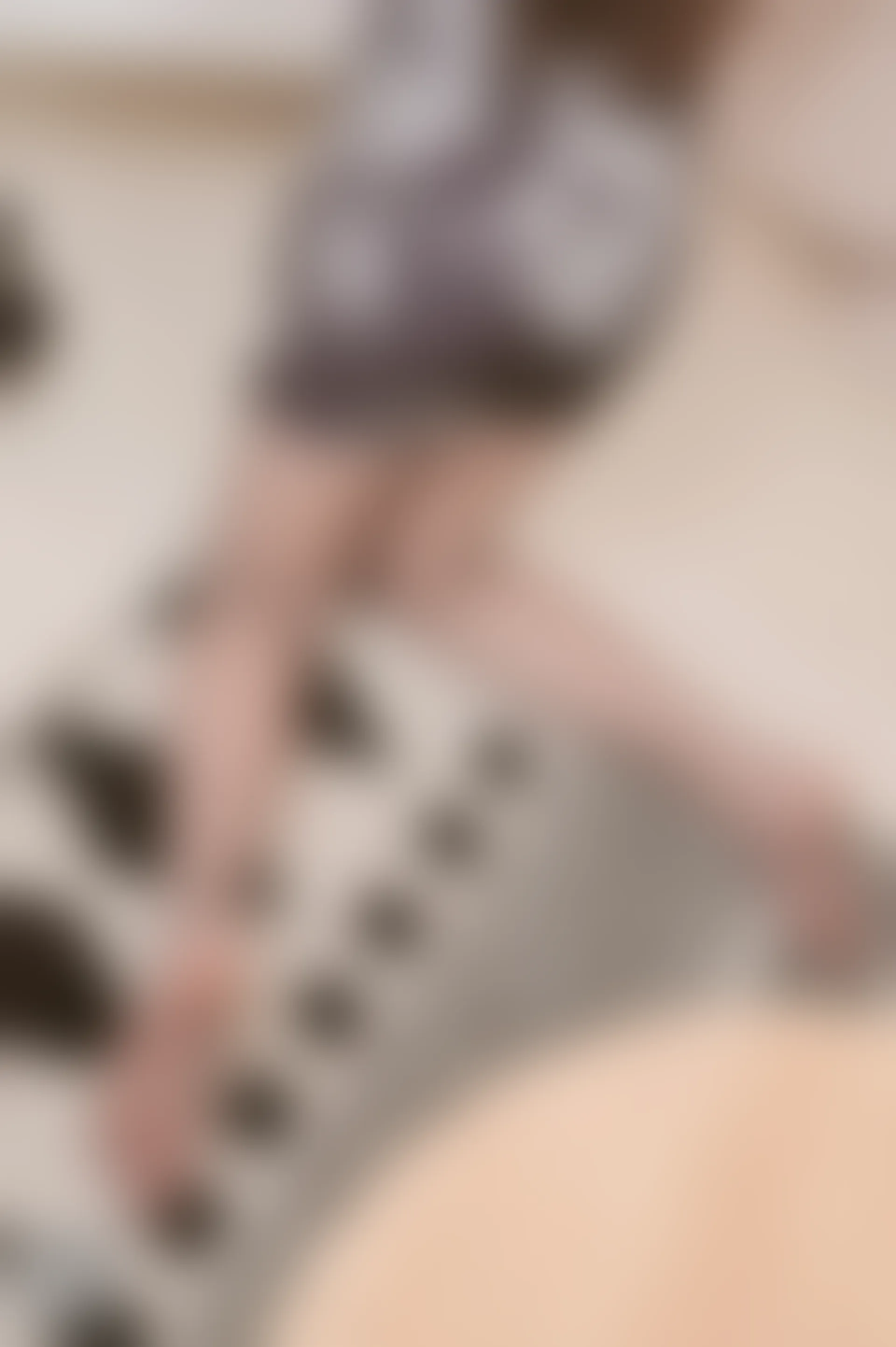 SSA丝社 超清写真 NO.105 西西 腿模西西超短旗袍灰丝脱丝特写[153P-1.04GB]
