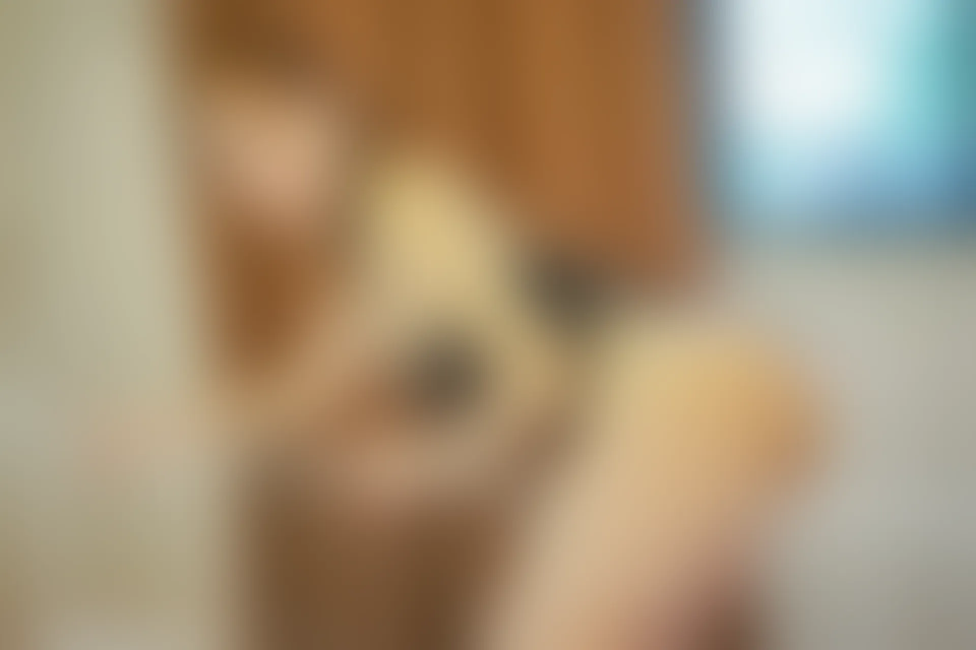 [RuiSG瑞丝馆] 2019.02.20 VOL.055 奶瓶土肥圆矮挫丑黑穷[51+1P／254M]