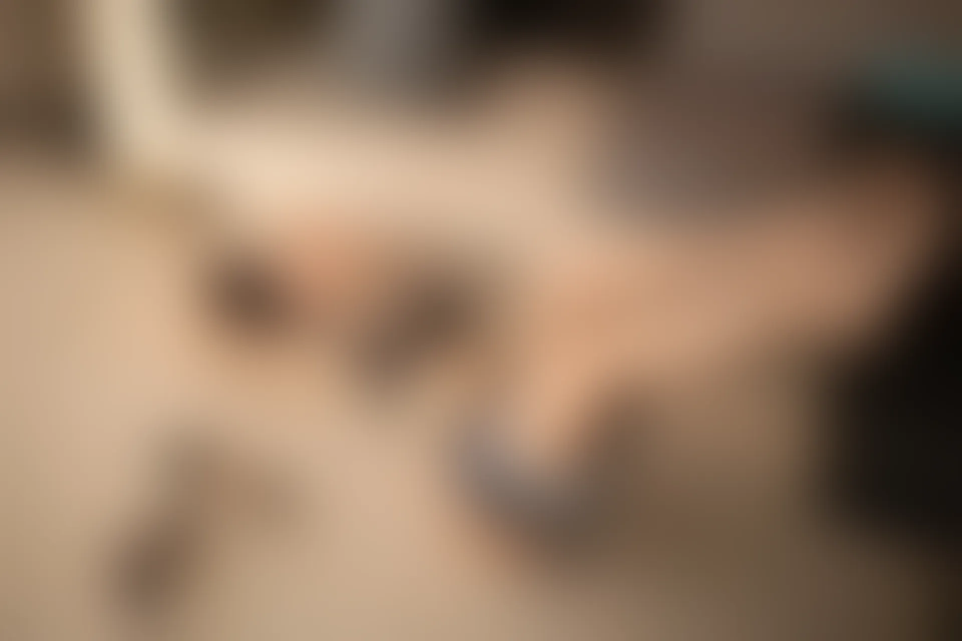 XIUREN秀人网 2024.01.08 NO.7928 唐安琪[80+1P／735MB]