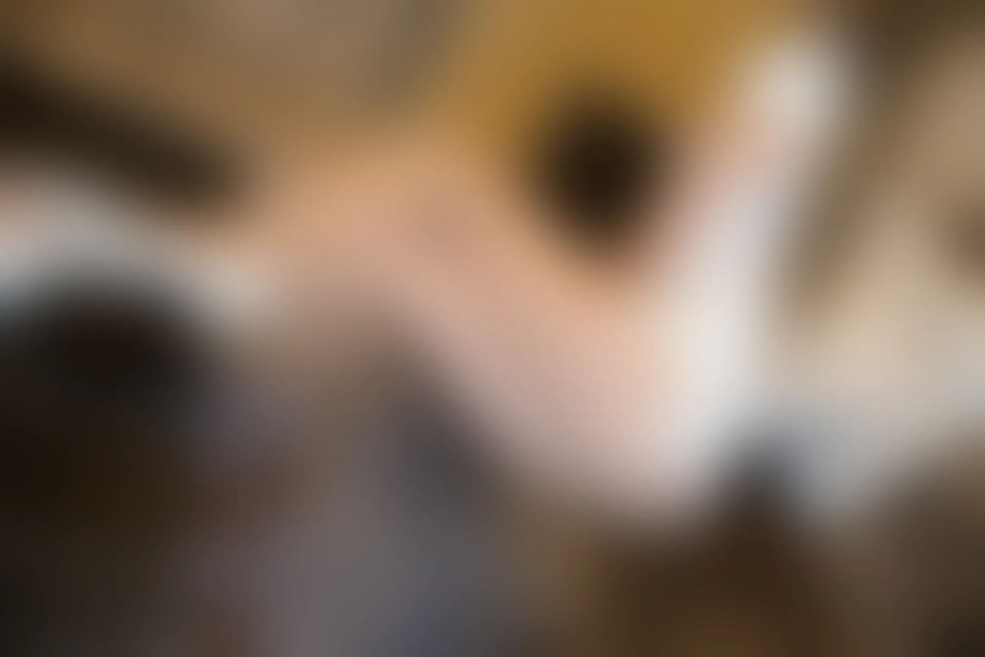 XiuRen秀人网 2018.09.03 No.1146 Miko酱[80+1P445M]