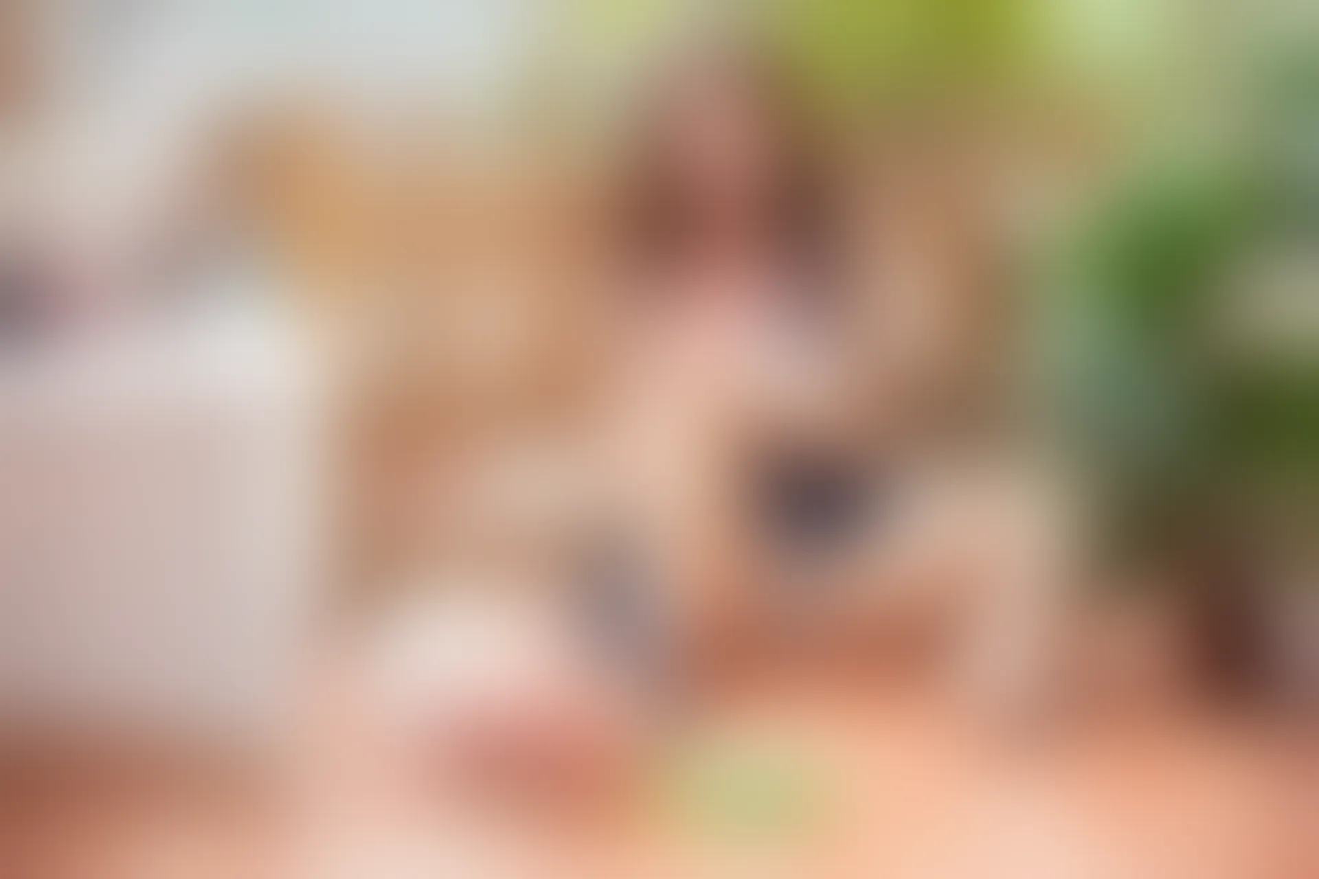 XiuRen秀人网 2016.08.29 No.588 baby嘉茵