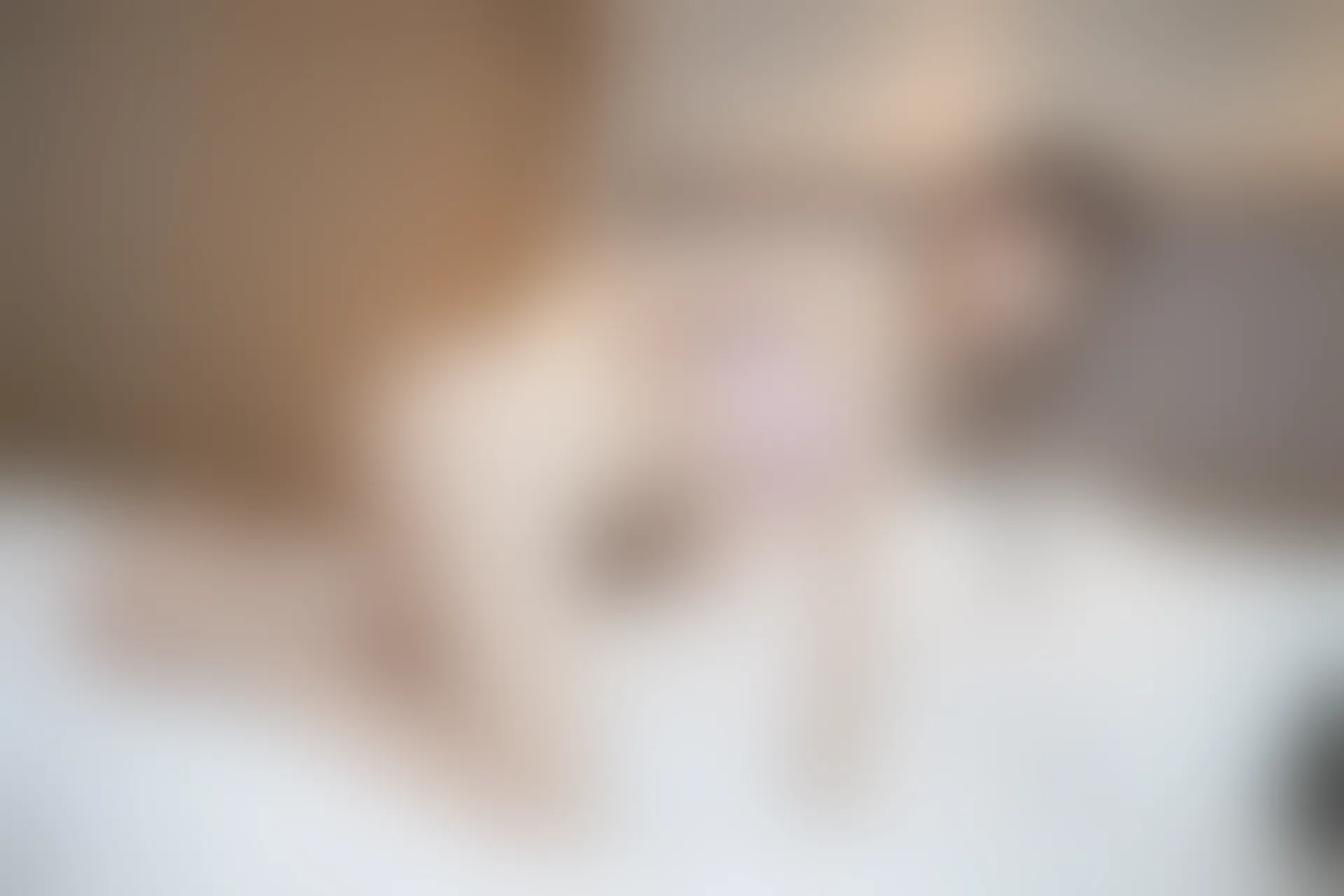 XiuRen秀人网 2022.01.20 No.4493 陆萱萱 美腿性感[92+1P 881MB]