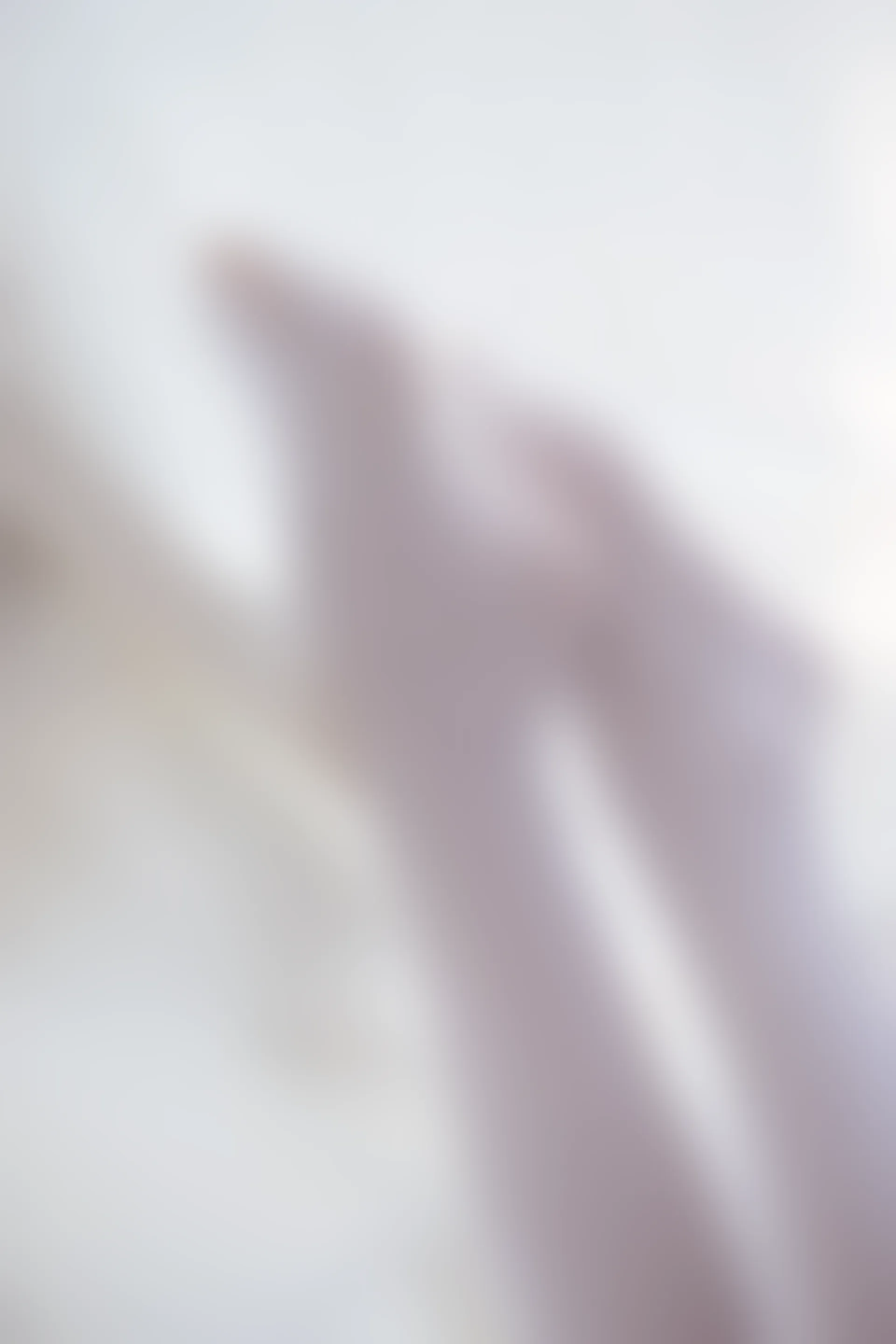 喵写真 VOL-011 [90P-400M]可爱, 喵写真, 白丝, 美腿