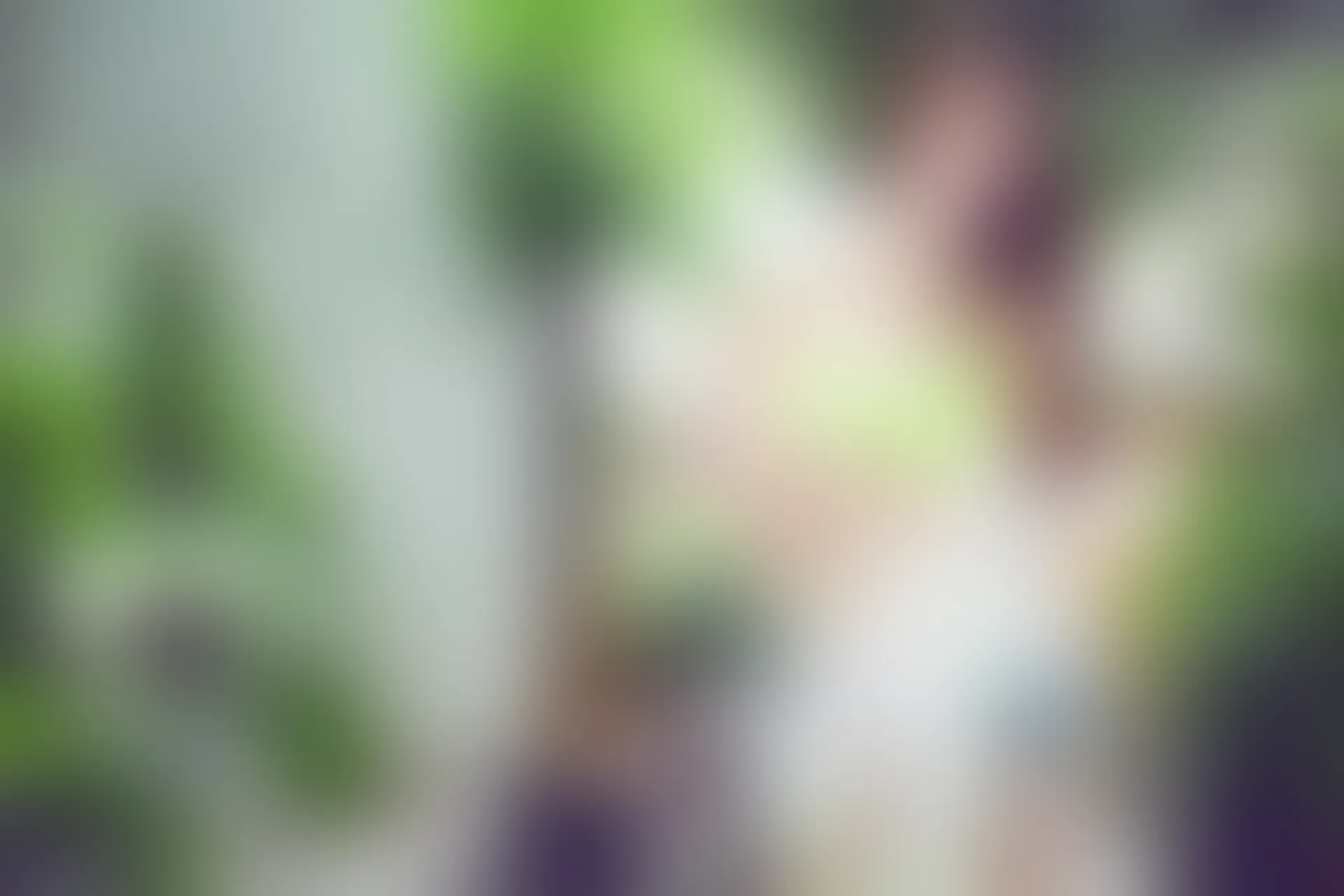 XiuRen秀人网 2015.06.23 No.342 ALICE梁紫轩[63+1P393M]