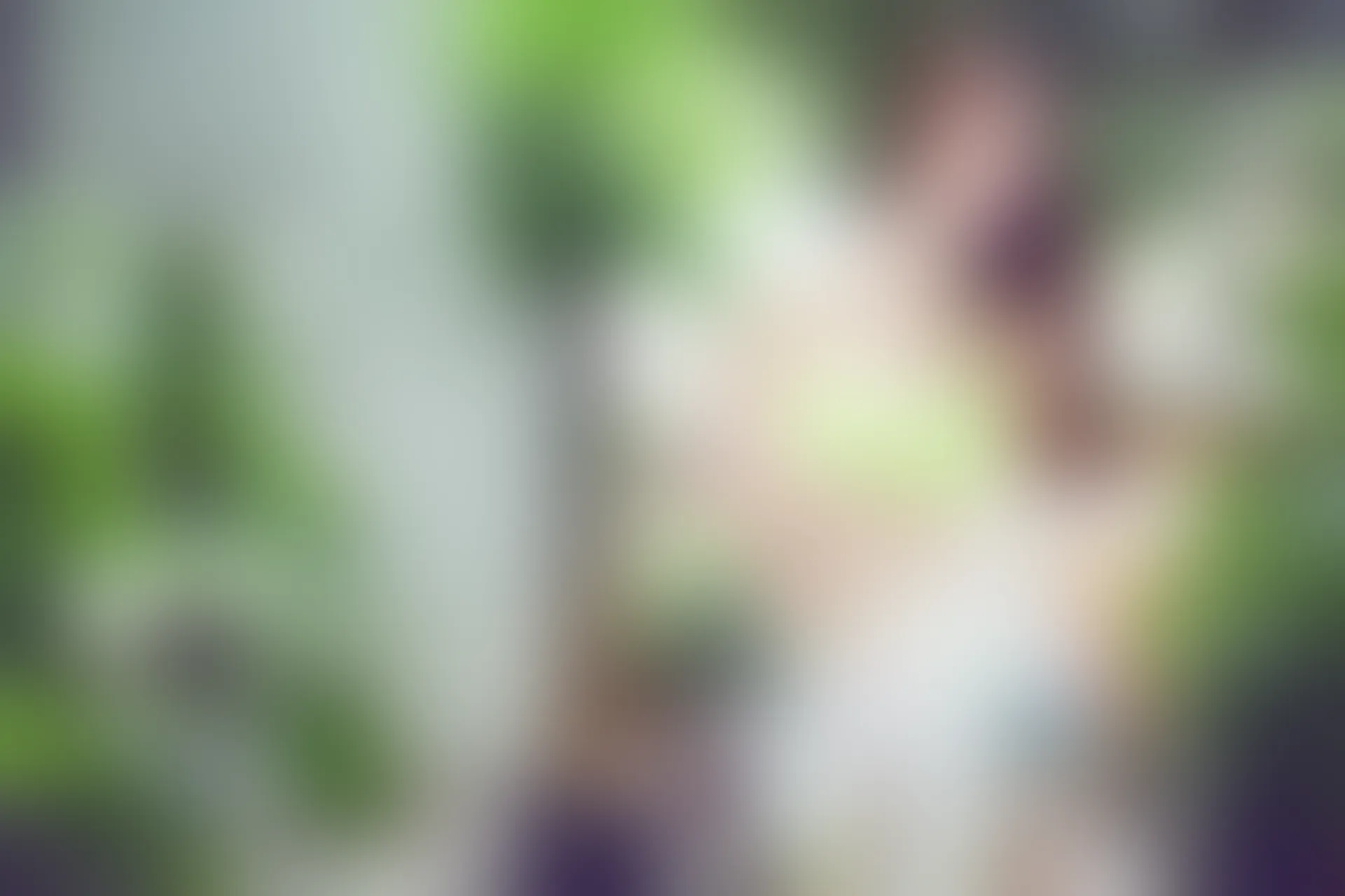 XiuRen秀人网 2015.06.23 No.342 ALICE梁紫轩[63+1P393M]