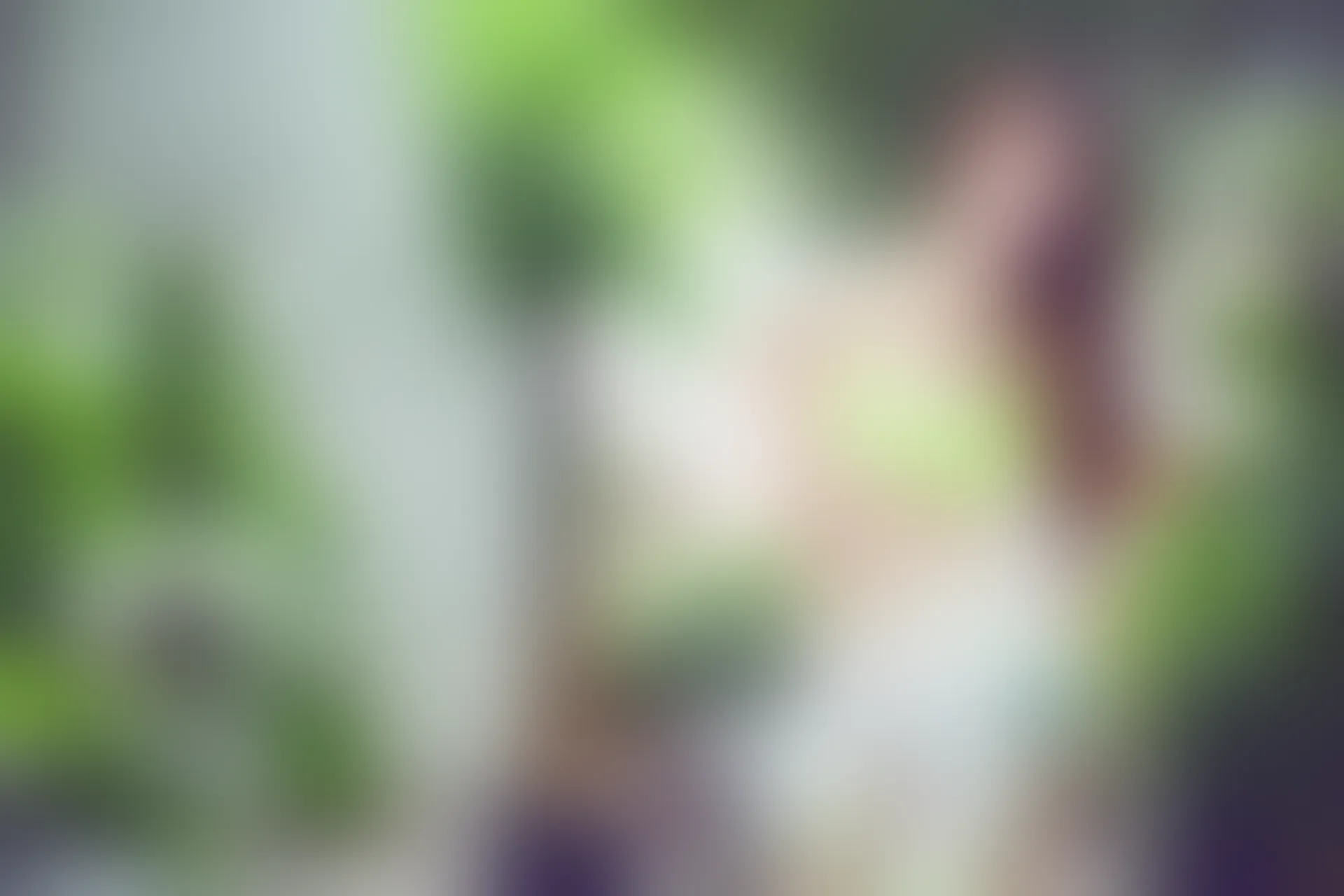 XiuRen秀人网 2015.06.23 No.342 ALICE梁紫轩[63+1P393M]