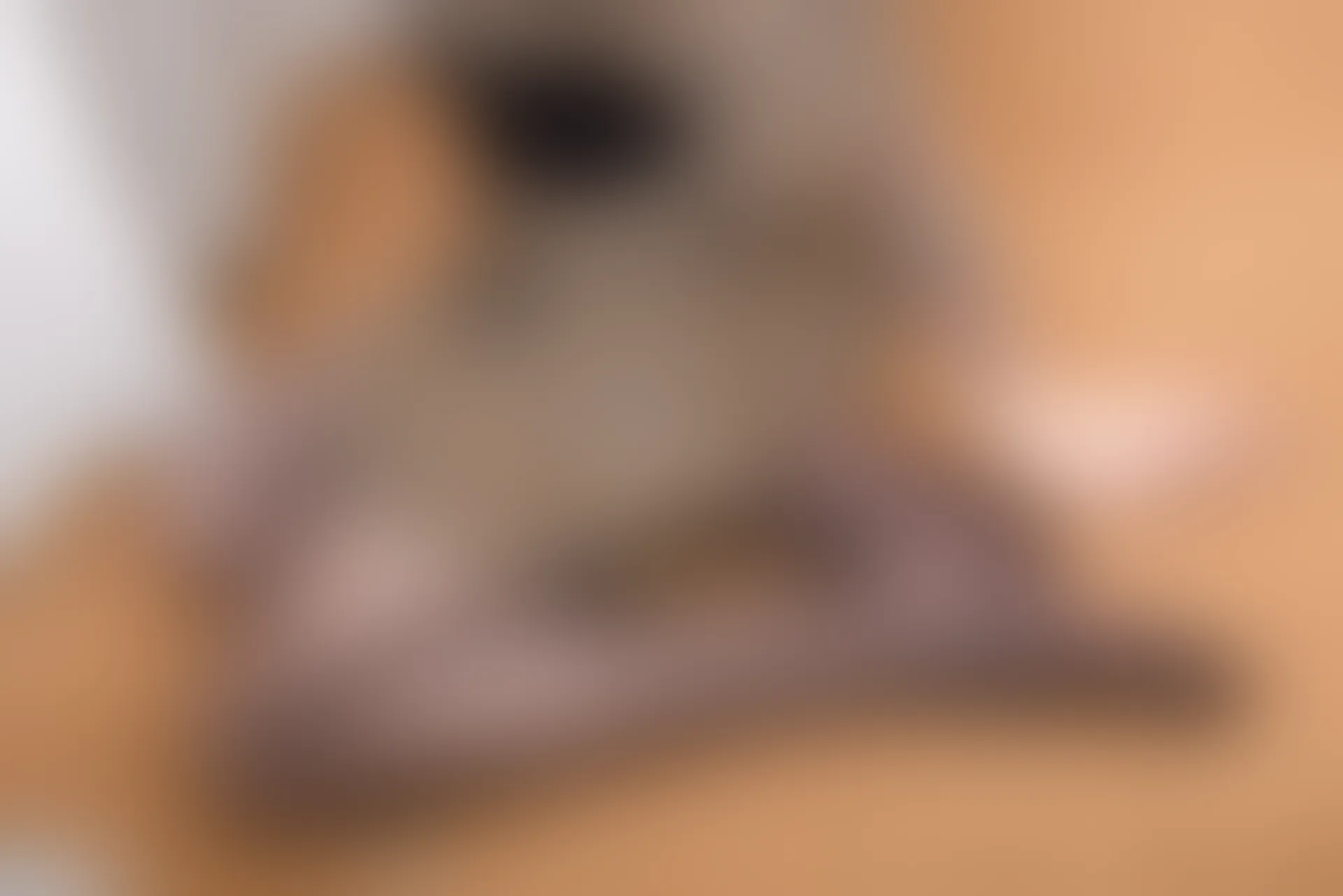 SSA丝社 超清写真 NO.063 淼淼 健身房私教的福利[113P-1.79GB]