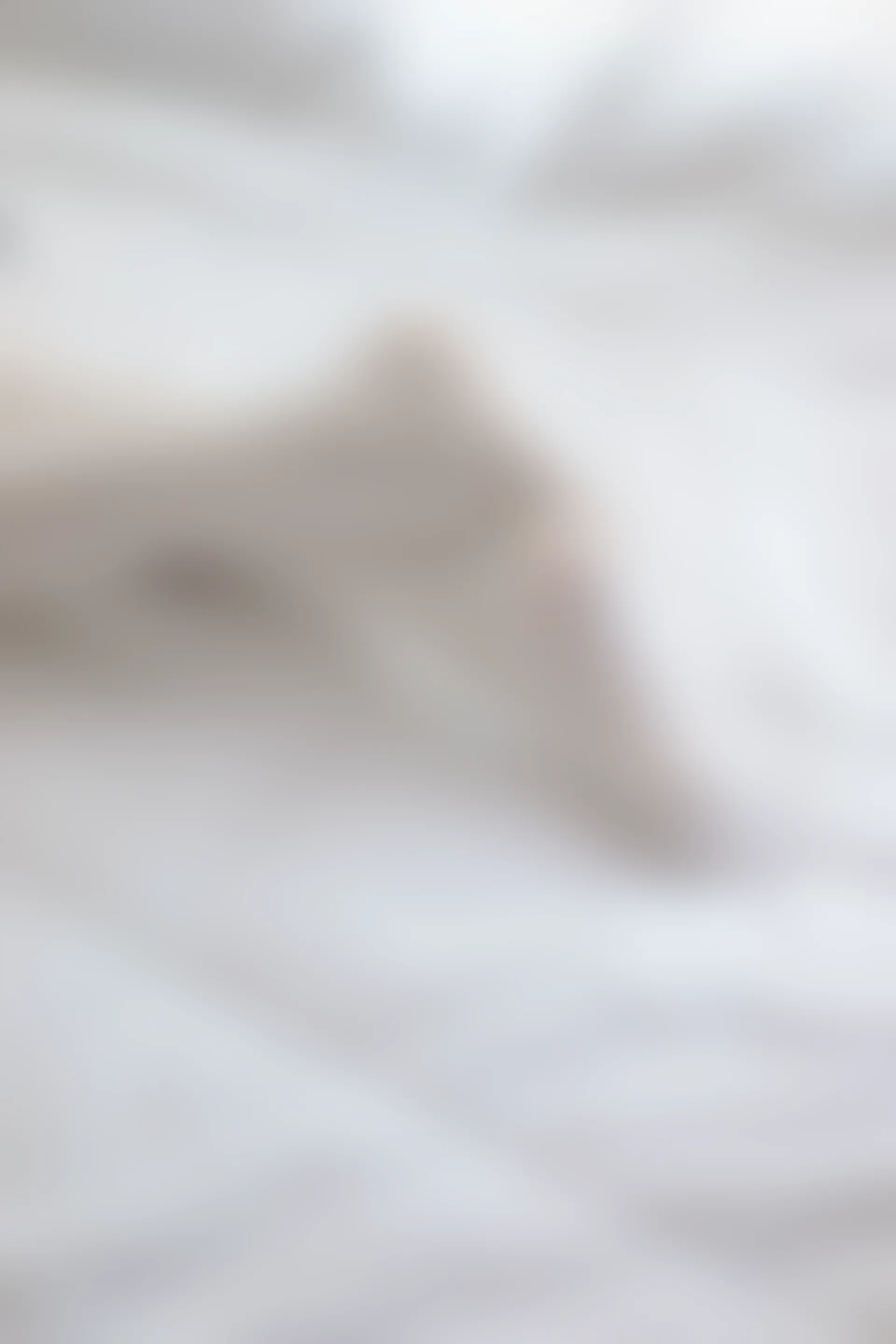 喵写真 VOL-005 [52P-360M]可爱, 喵写真, 白丝, 美腿