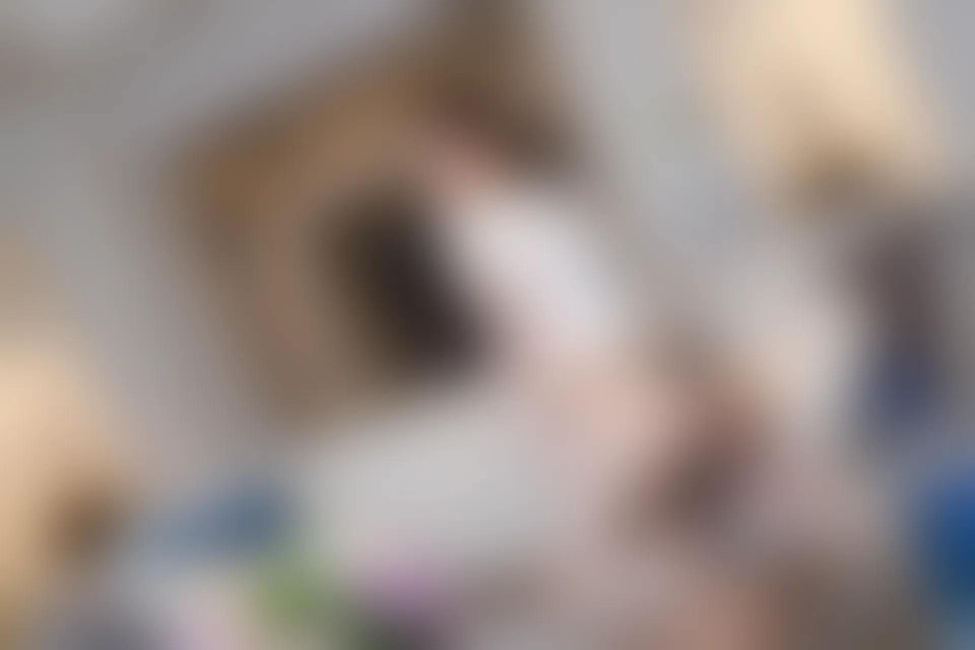 XiuRen秀人网 2021.11.04 No.4167 王心怡 丝袜美腿[74+1P 835MB]