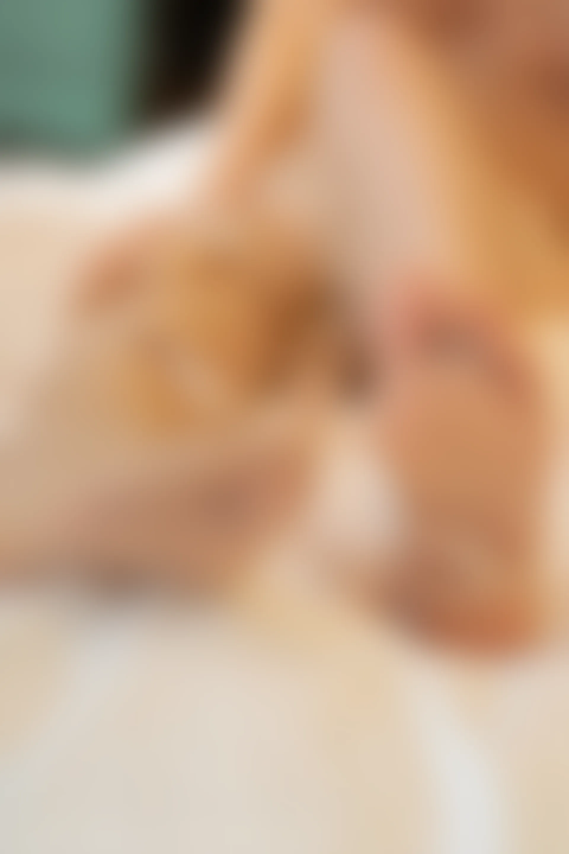 XIUREN秀人网 2024.01.04 NO.7911 绮里嘉ula[80+1P／744MB]