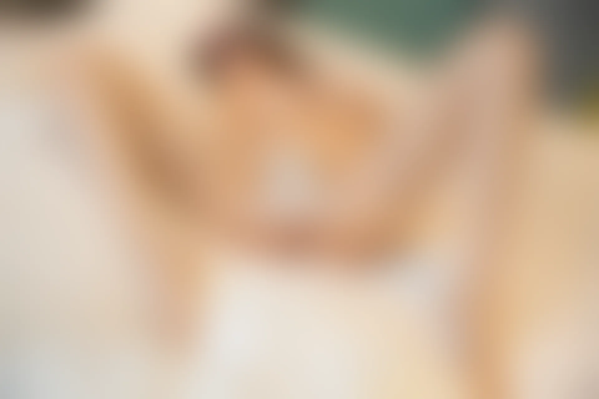 XIUREN秀人网 2024.01.04 NO.7911 绮里嘉ula[80+1P／744MB]