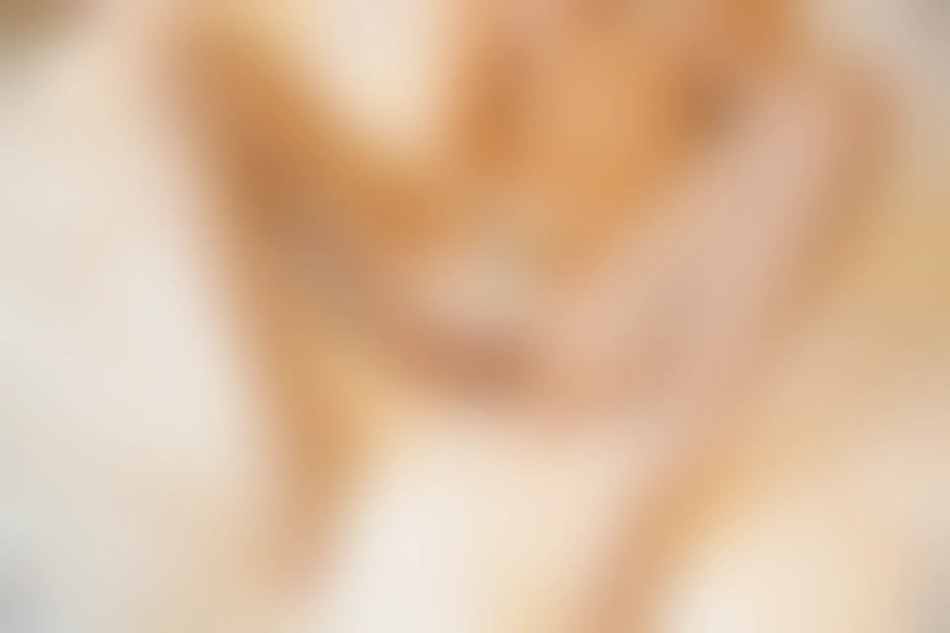 XIUREN秀人网 2024.01.04 NO.7911 绮里嘉ula[80+1P／744MB]