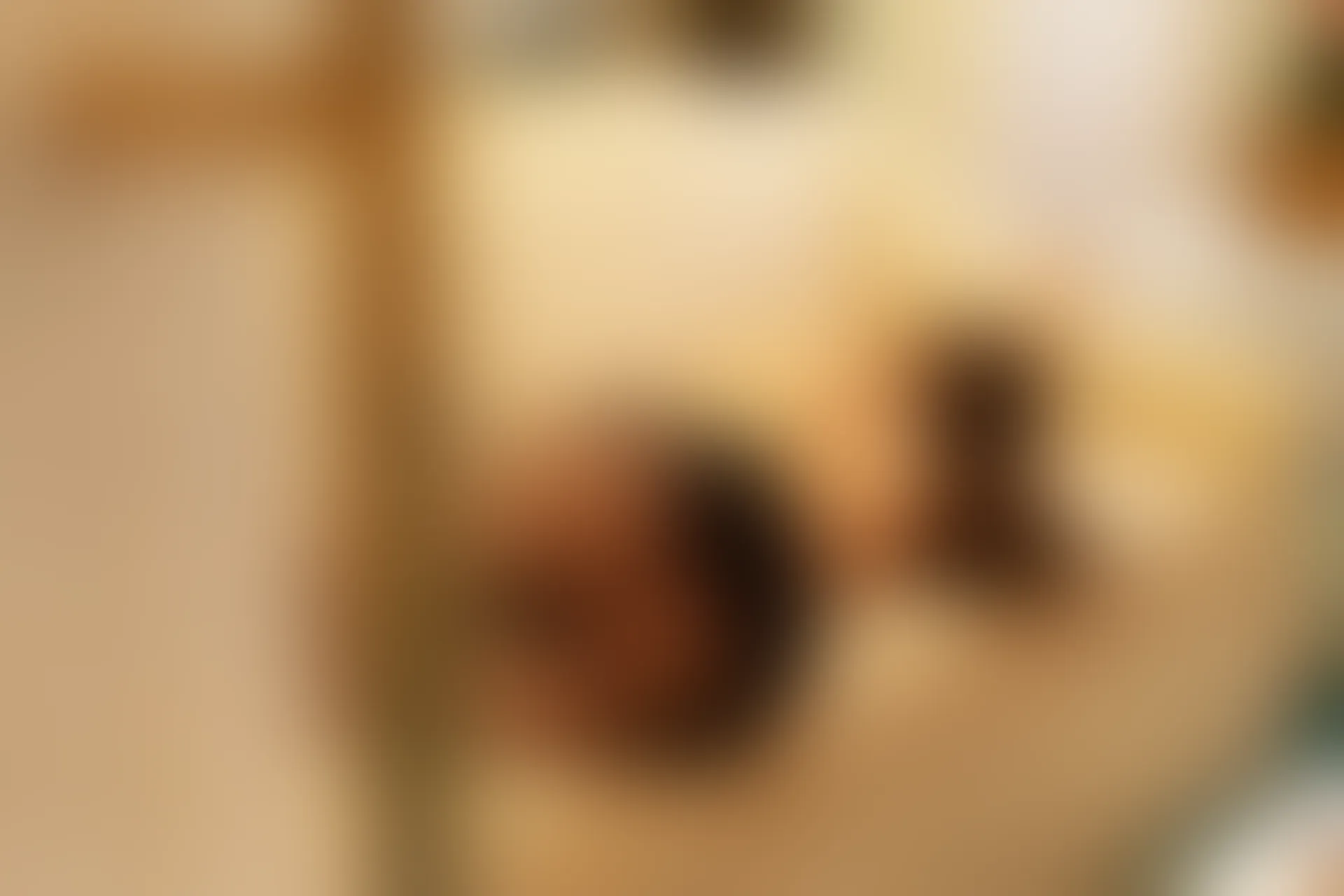 [XiuRen秀人网] 2019.07.05 NO.1534 奶瓶土肥圆矮挫丑黑穷[65+1P／305M]