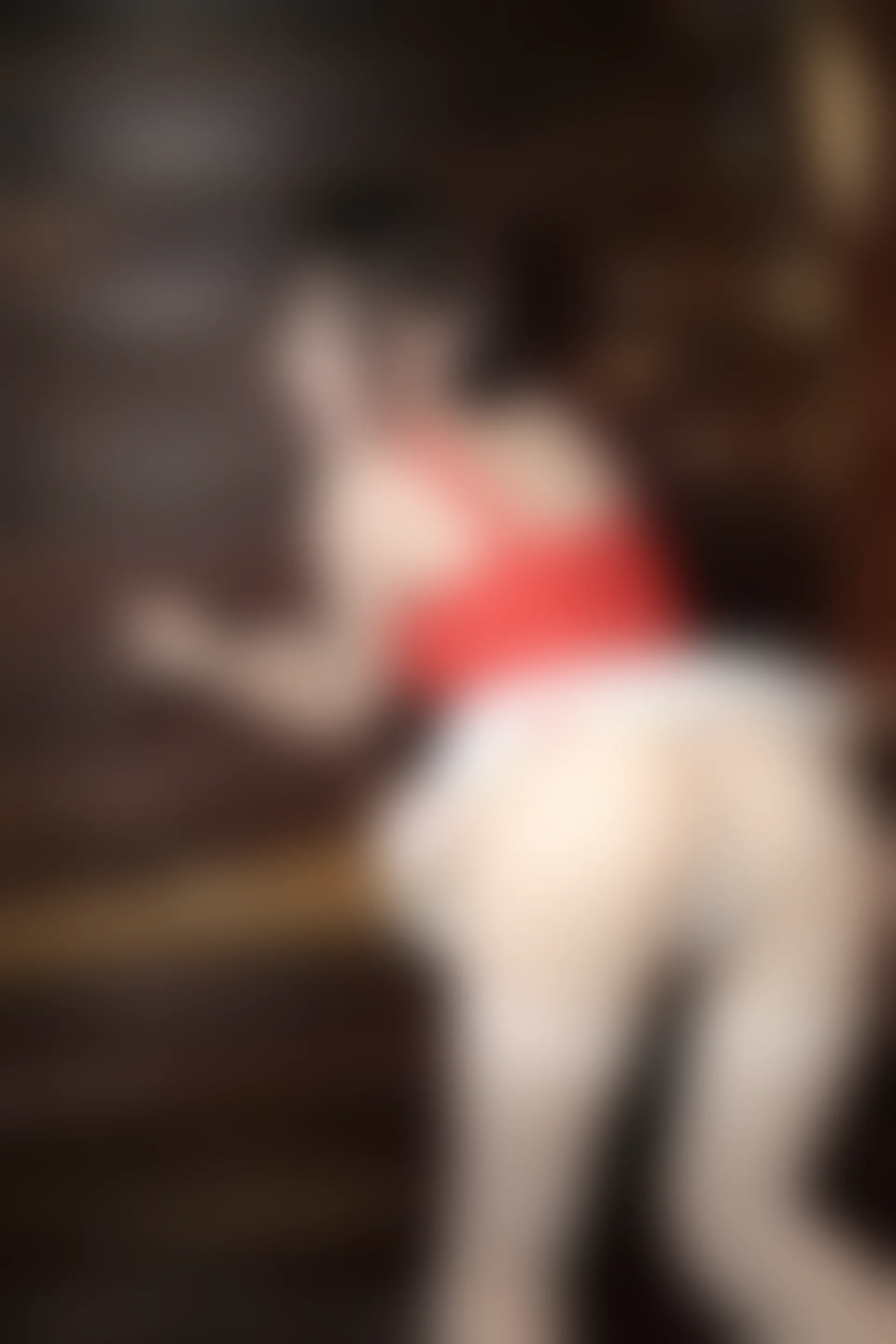 XiuRen秀人网 2016.12.23 No.665 Evelyn艾莉 [40P-115M]