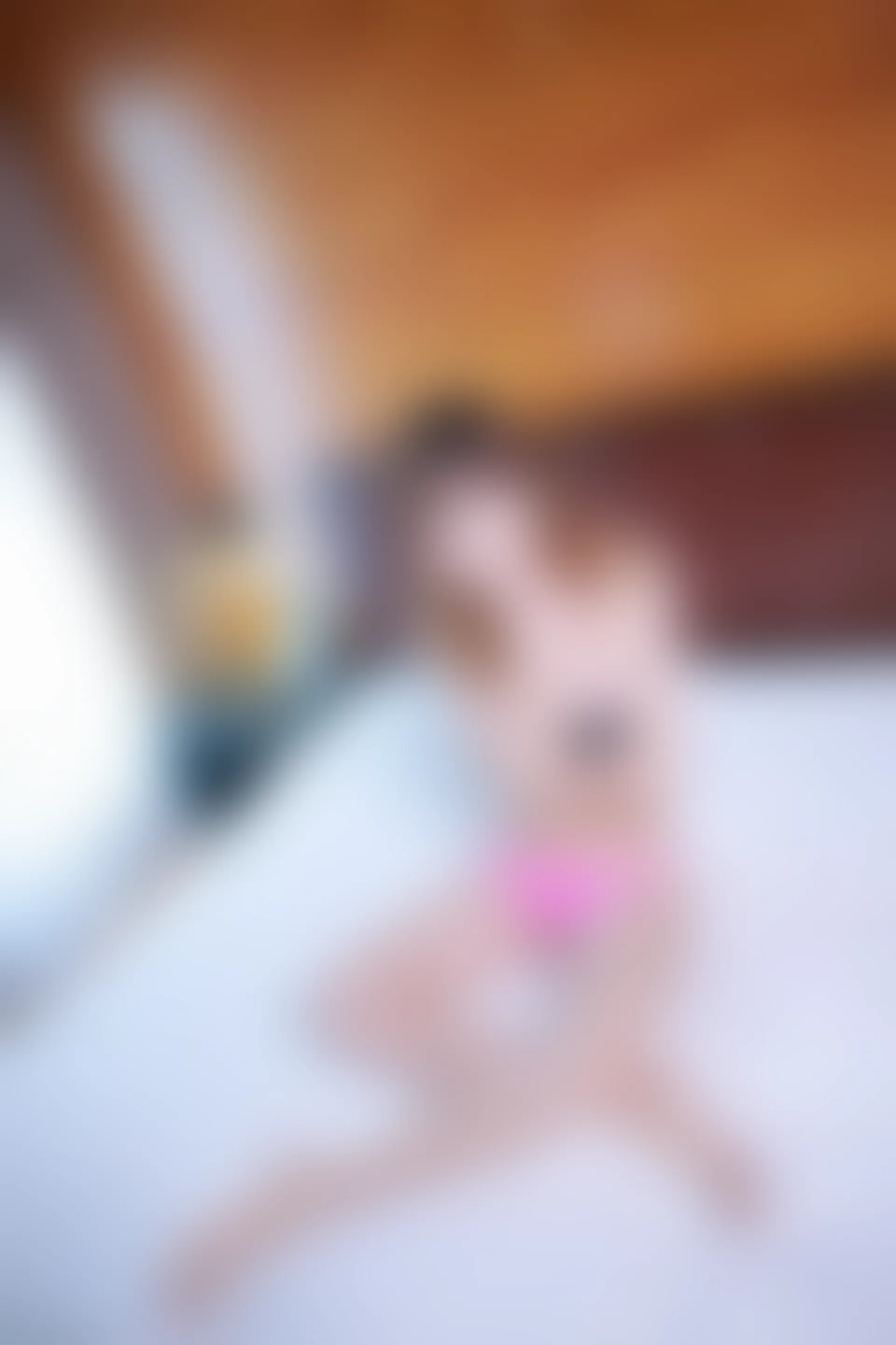 XiuRen秀人网 2015.07.26 No.363 轩儿[56+1P87M]