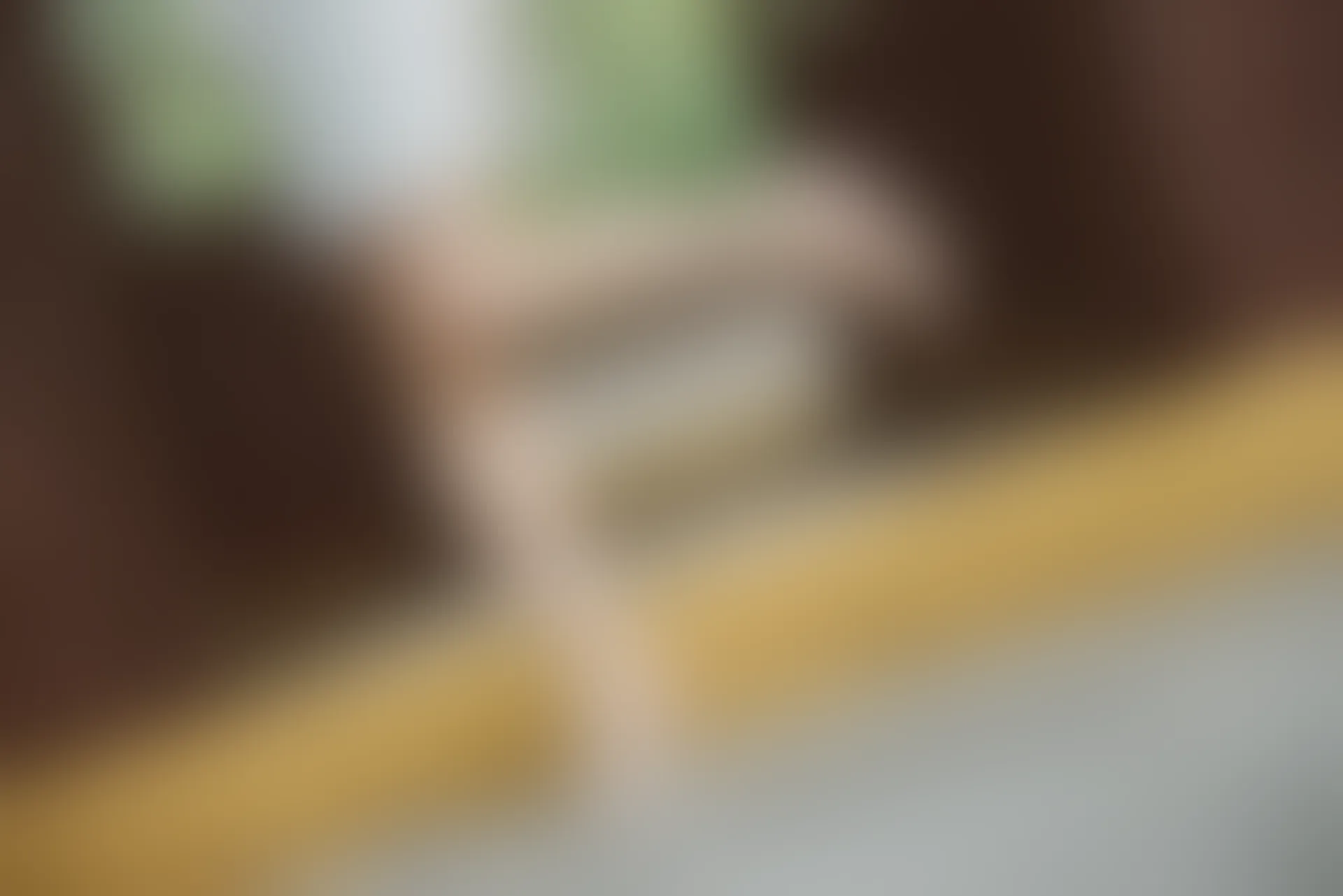 SSA丝社 超清写真 NO.111 君君 腿模君君的旗袍秀[163P-1.56GB]