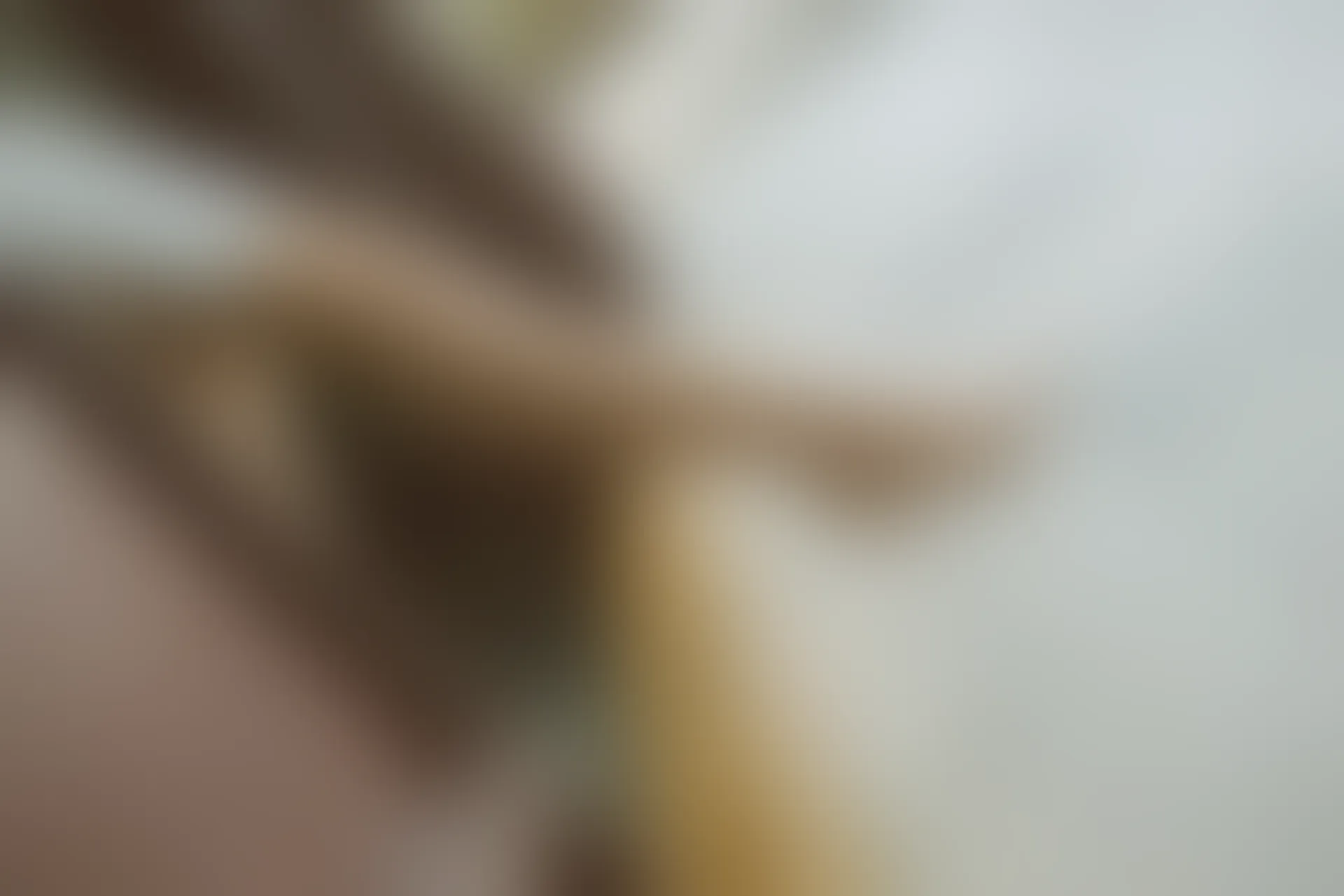 SSA丝社 超清写真 NO.111 君君 腿模君君的旗袍秀[163P-1.56GB]