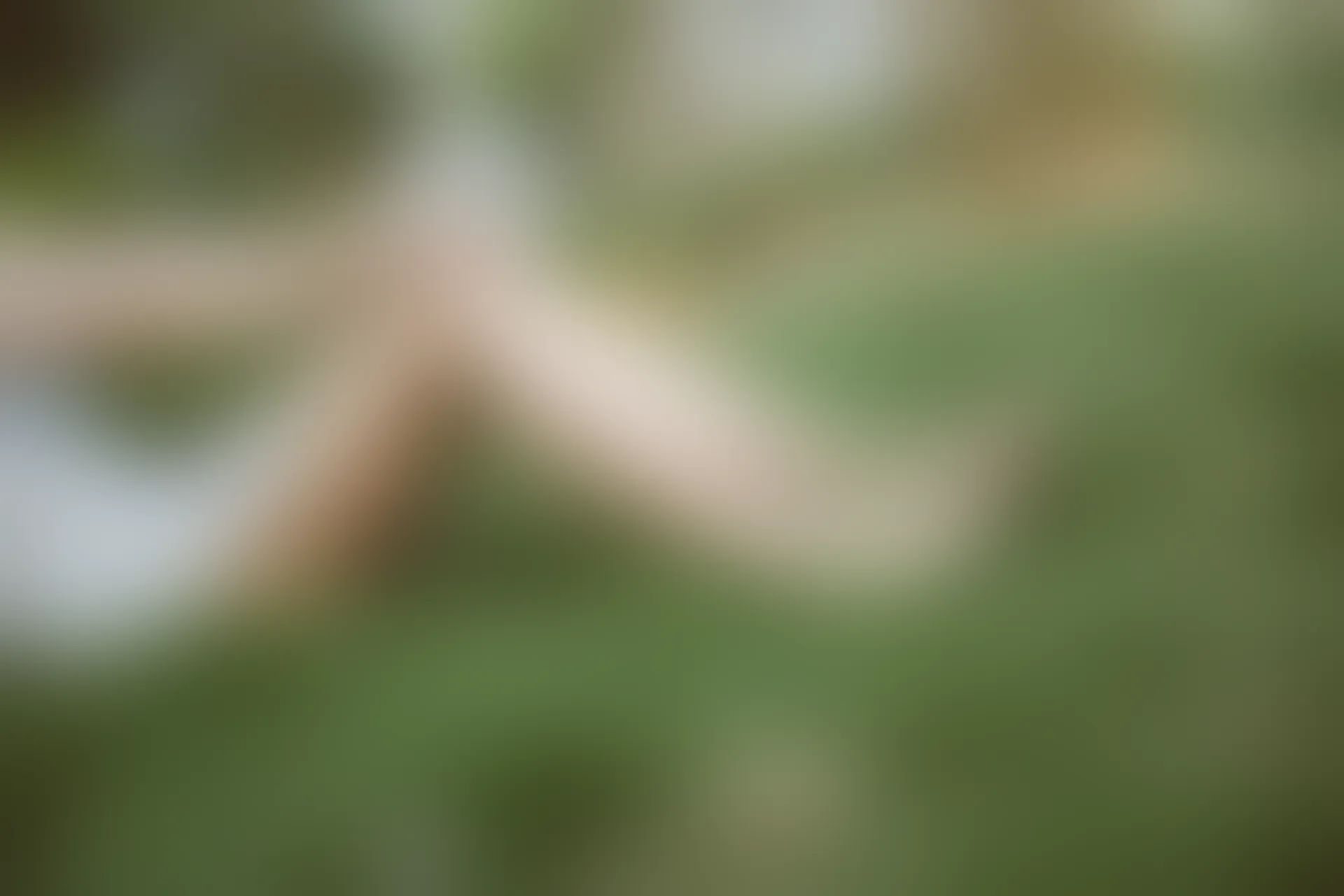 SSA丝社 超清写真 NO.111 君君 腿模君君的旗袍秀[163P-1.56GB]
