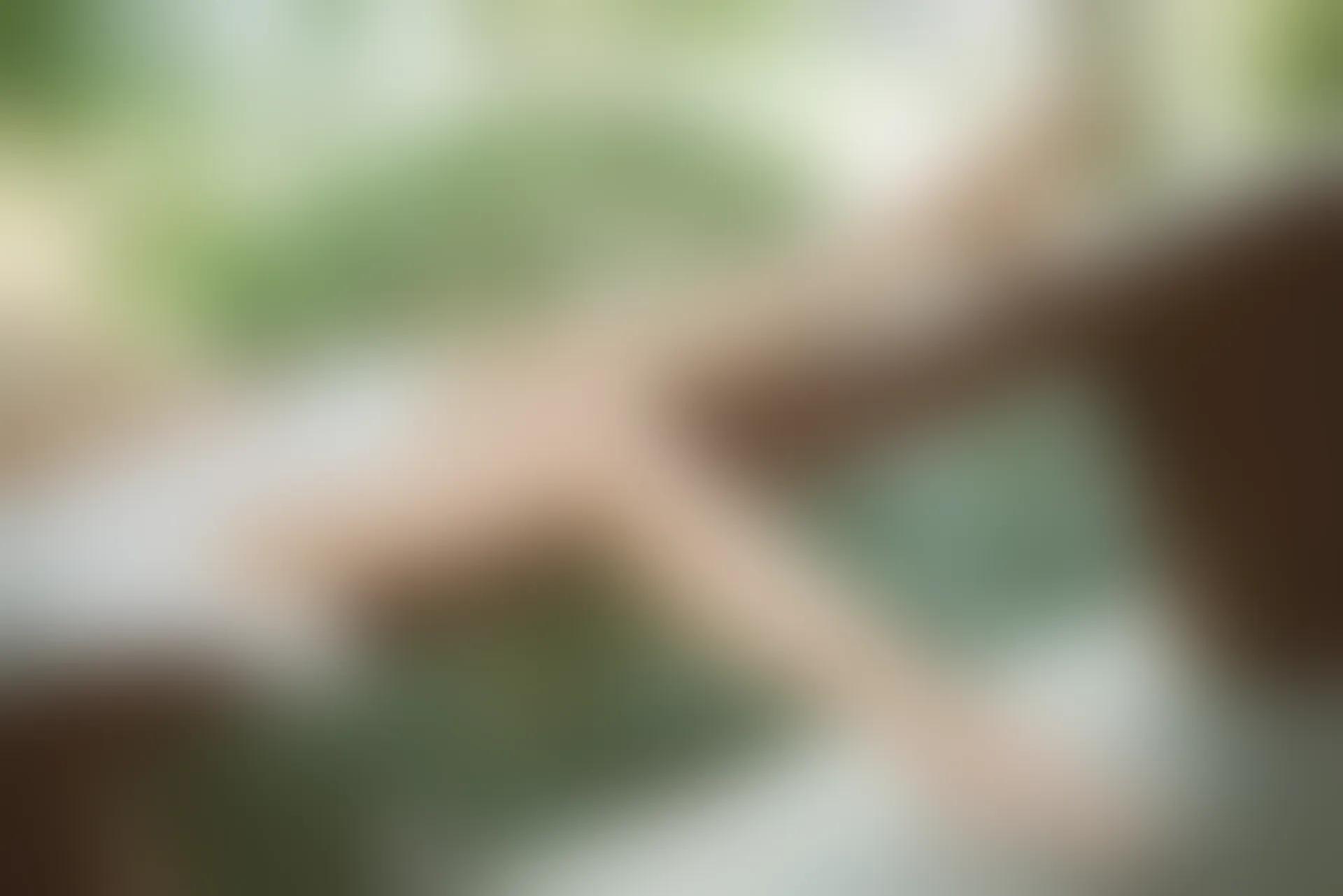 SSA丝社 超清写真 NO.111 君君 腿模君君的旗袍秀[163P-1.56GB]