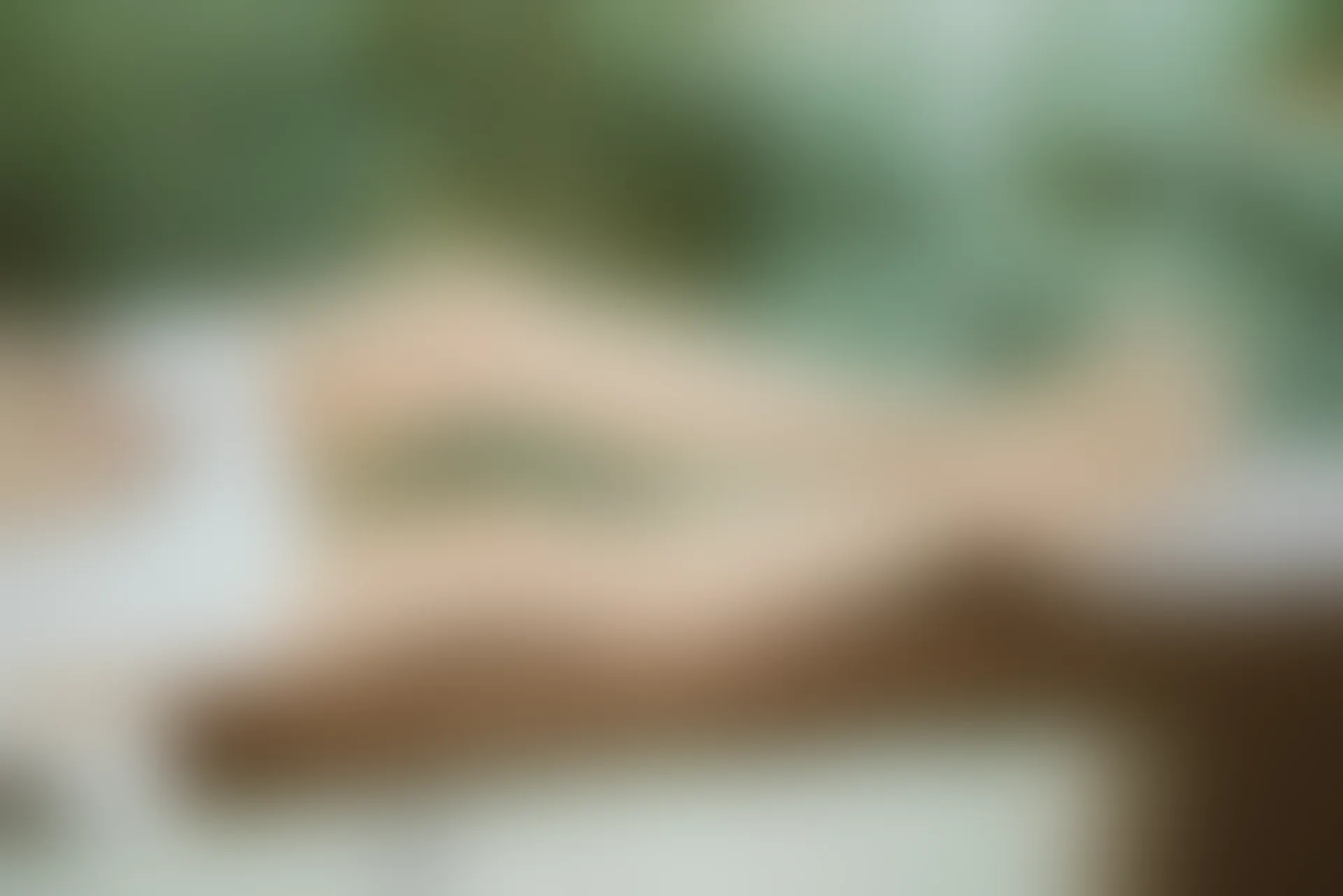 SSA丝社 超清写真 NO.111 君君 腿模君君的旗袍秀[163P-1.56GB]