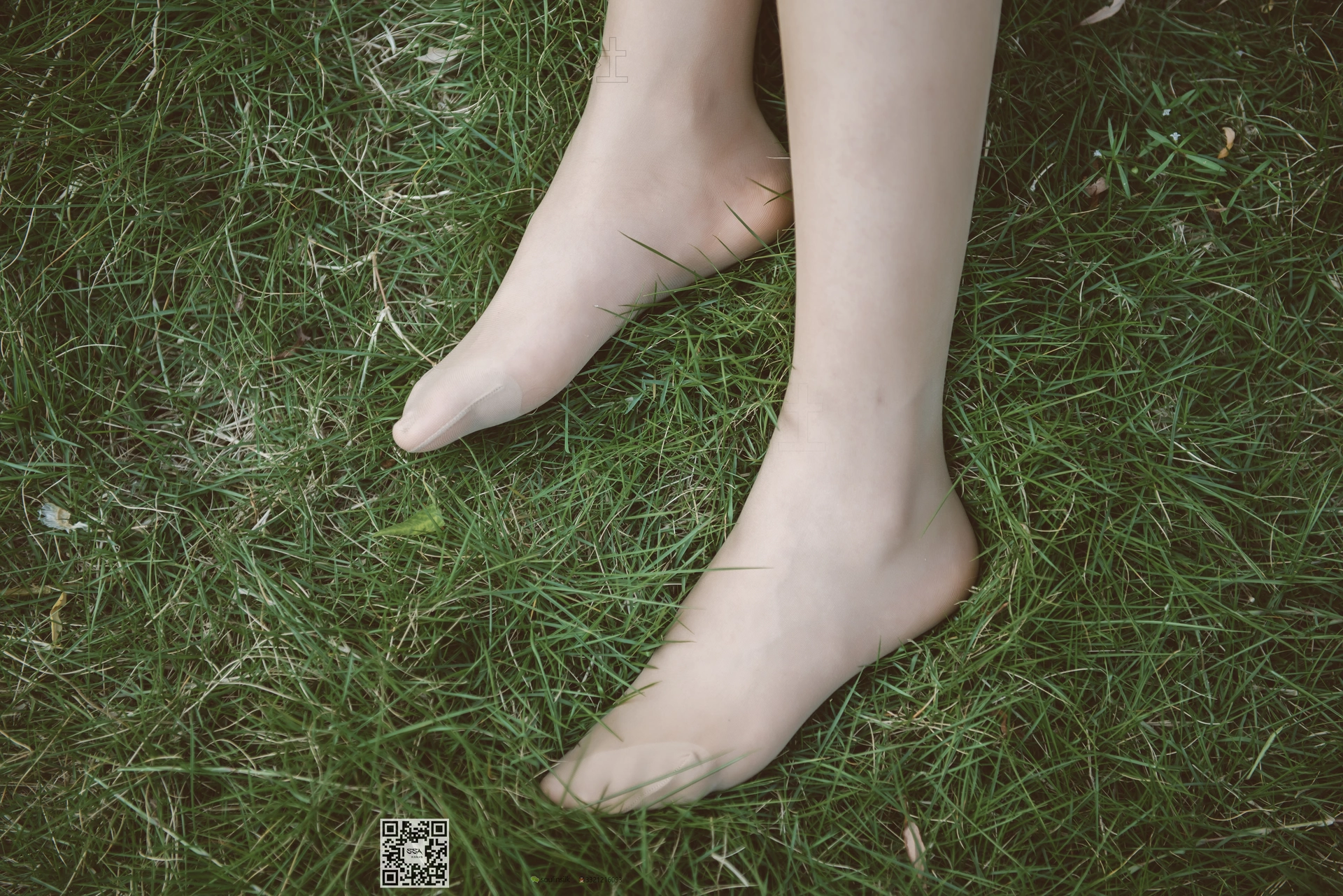 SSA丝社 超清写真 NO.111 君君 腿模君君的旗袍秀[163P-1.56GB]
