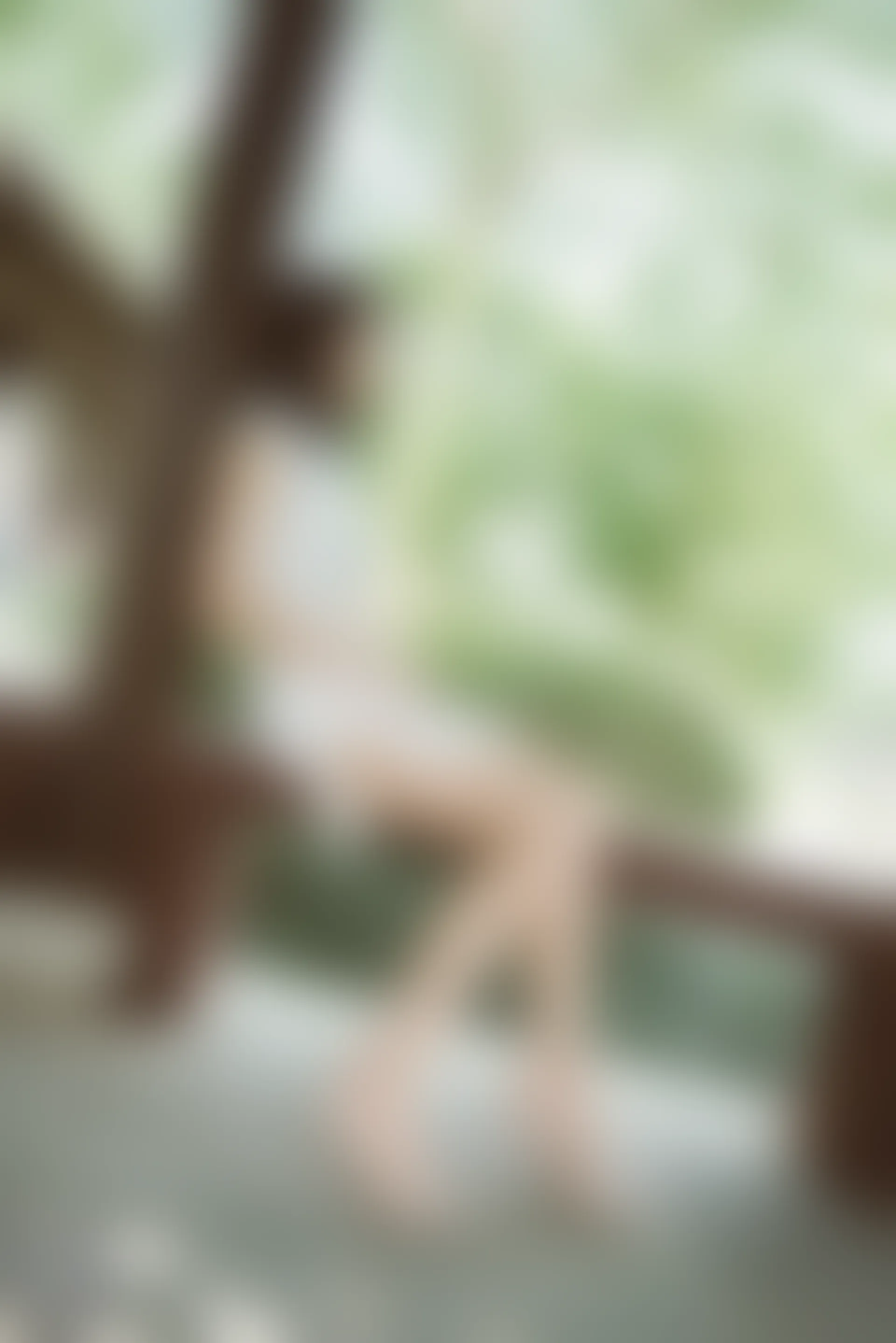 SSA丝社 超清写真 NO.111 君君 腿模君君的旗袍秀[163P-1.56GB]