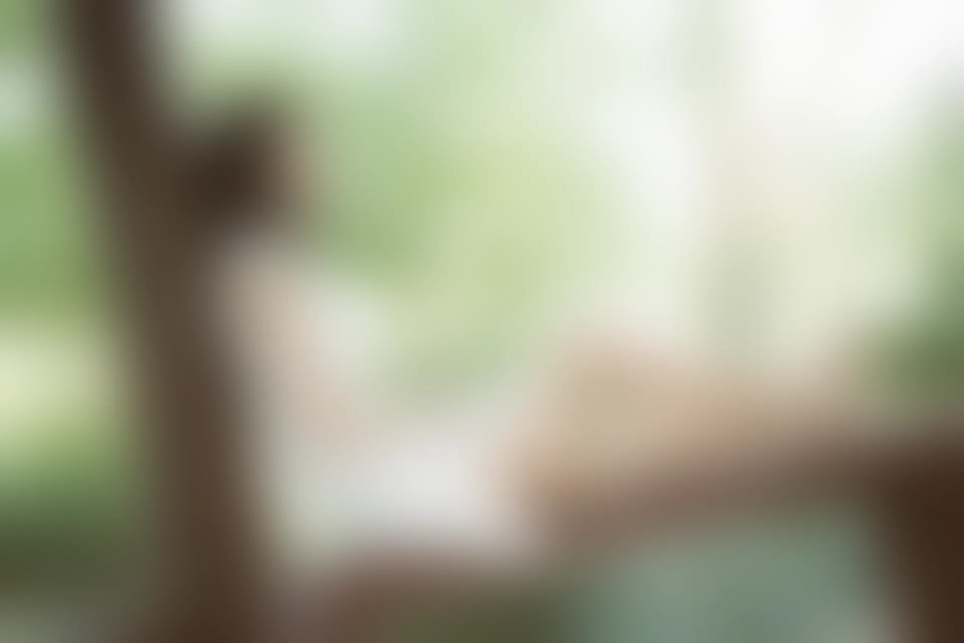 SSA丝社 超清写真 NO.111 君君 腿模君君的旗袍秀[163P-1.56GB]