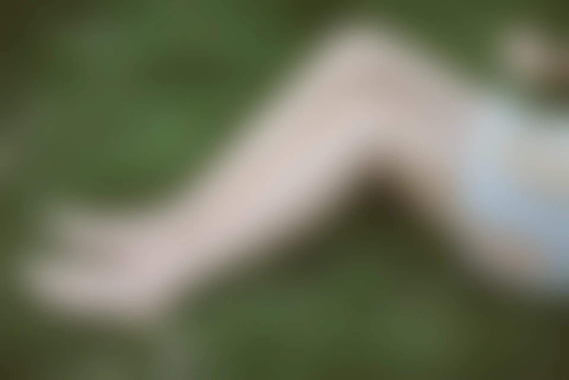 SSA丝社 超清写真 NO.111 君君 腿模君君的旗袍秀[163P-1.56GB]