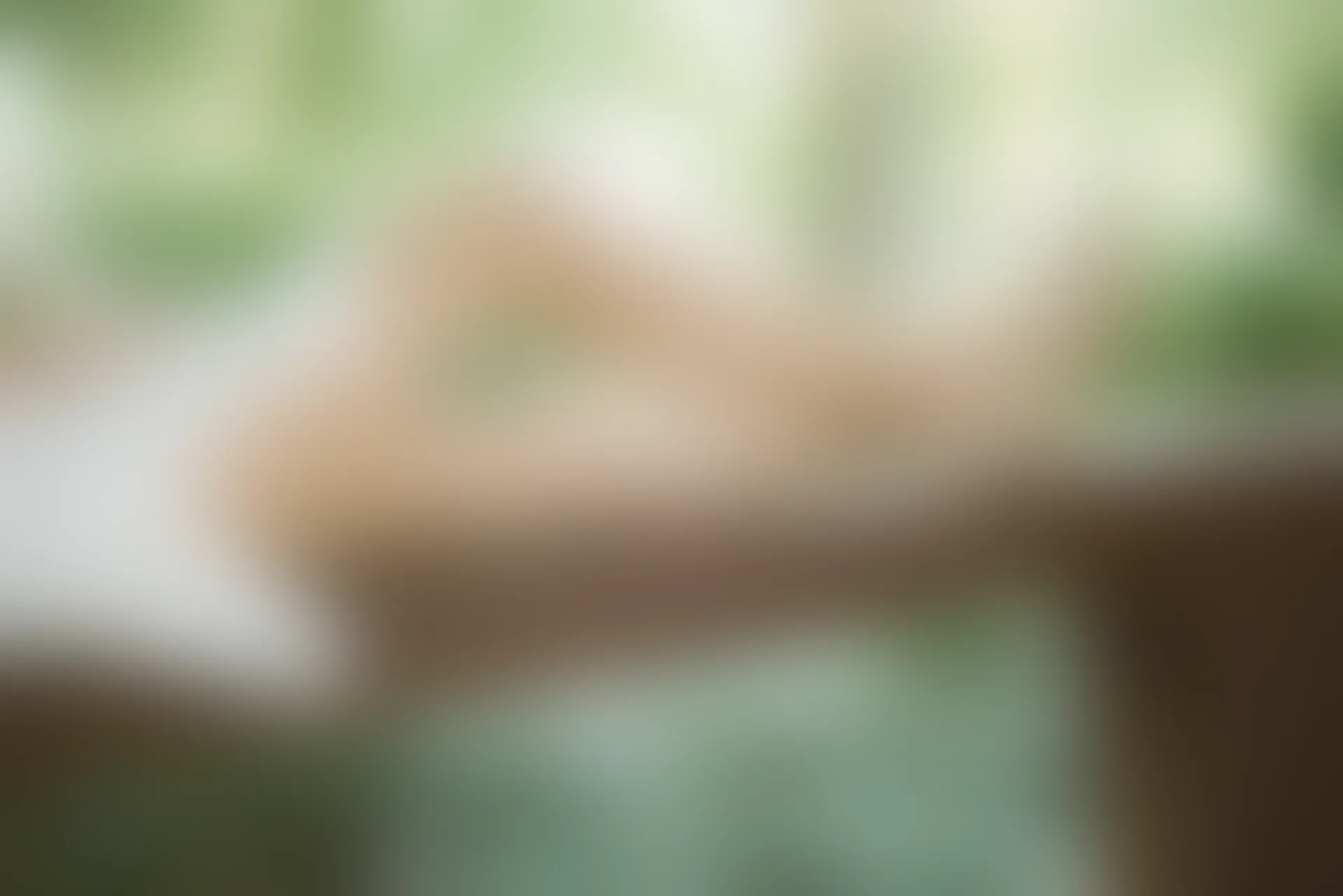 SSA丝社 超清写真 NO.111 君君 腿模君君的旗袍秀[163P-1.56GB]
