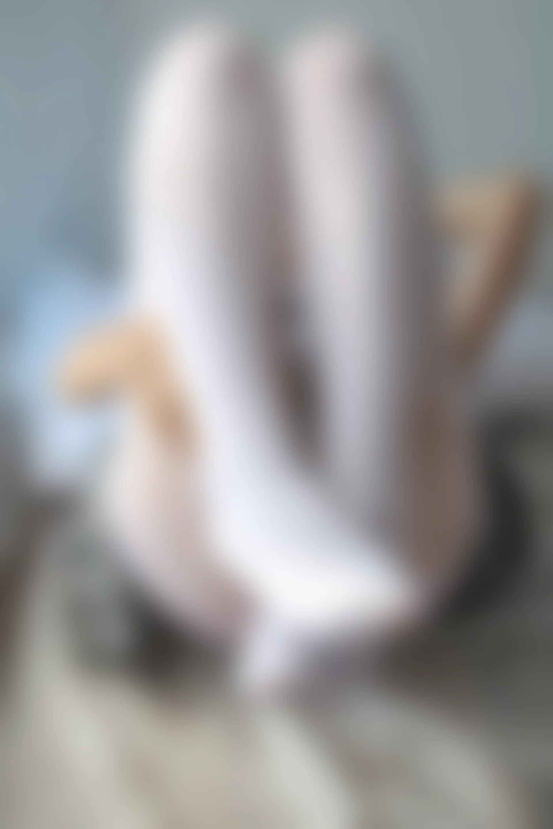 森萝财团 BETA-029 [182P-1.6G]学生装, 森萝财团, 白丝, 美腿